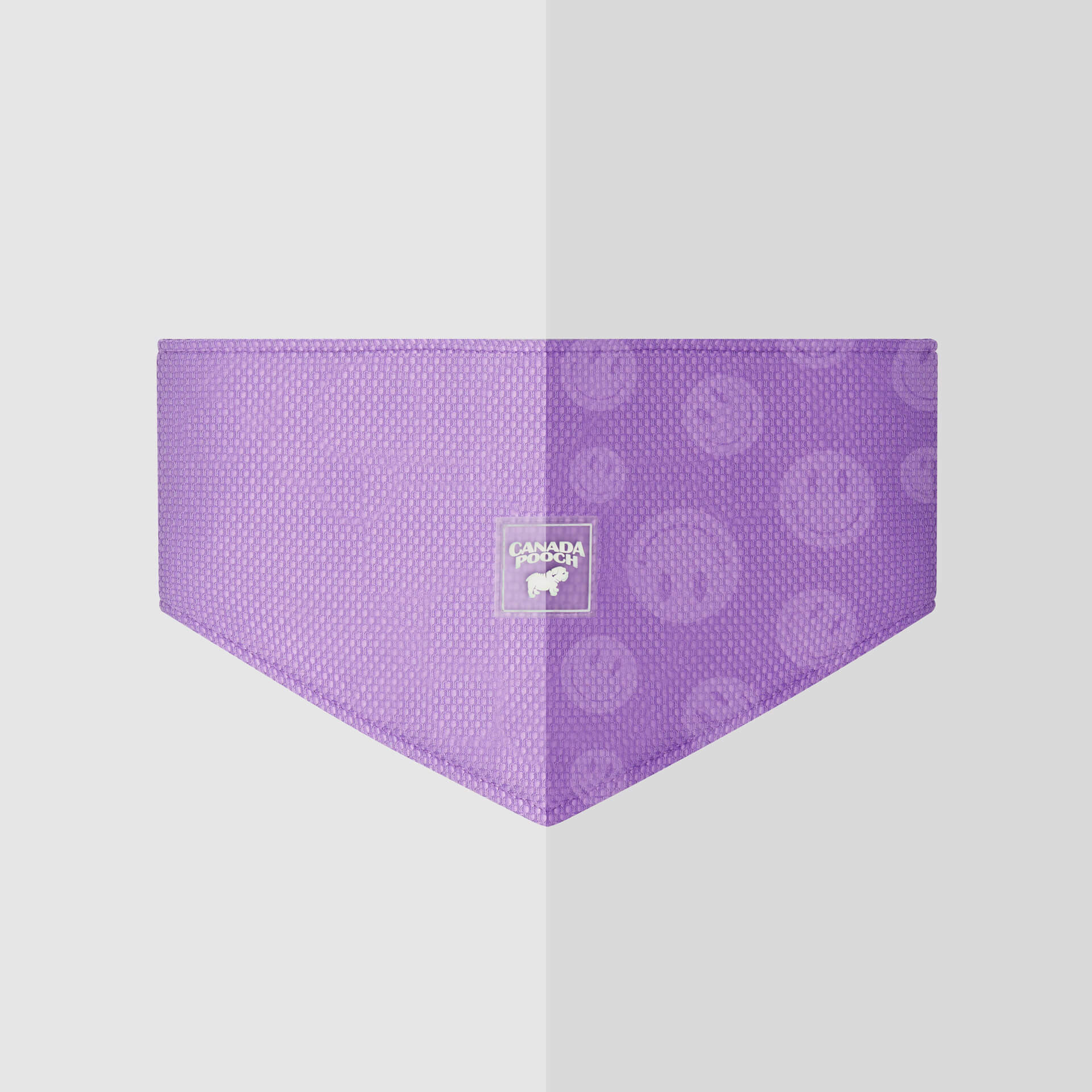 Canada Pooch Cooling Bandana Wet Reveal - Image 6