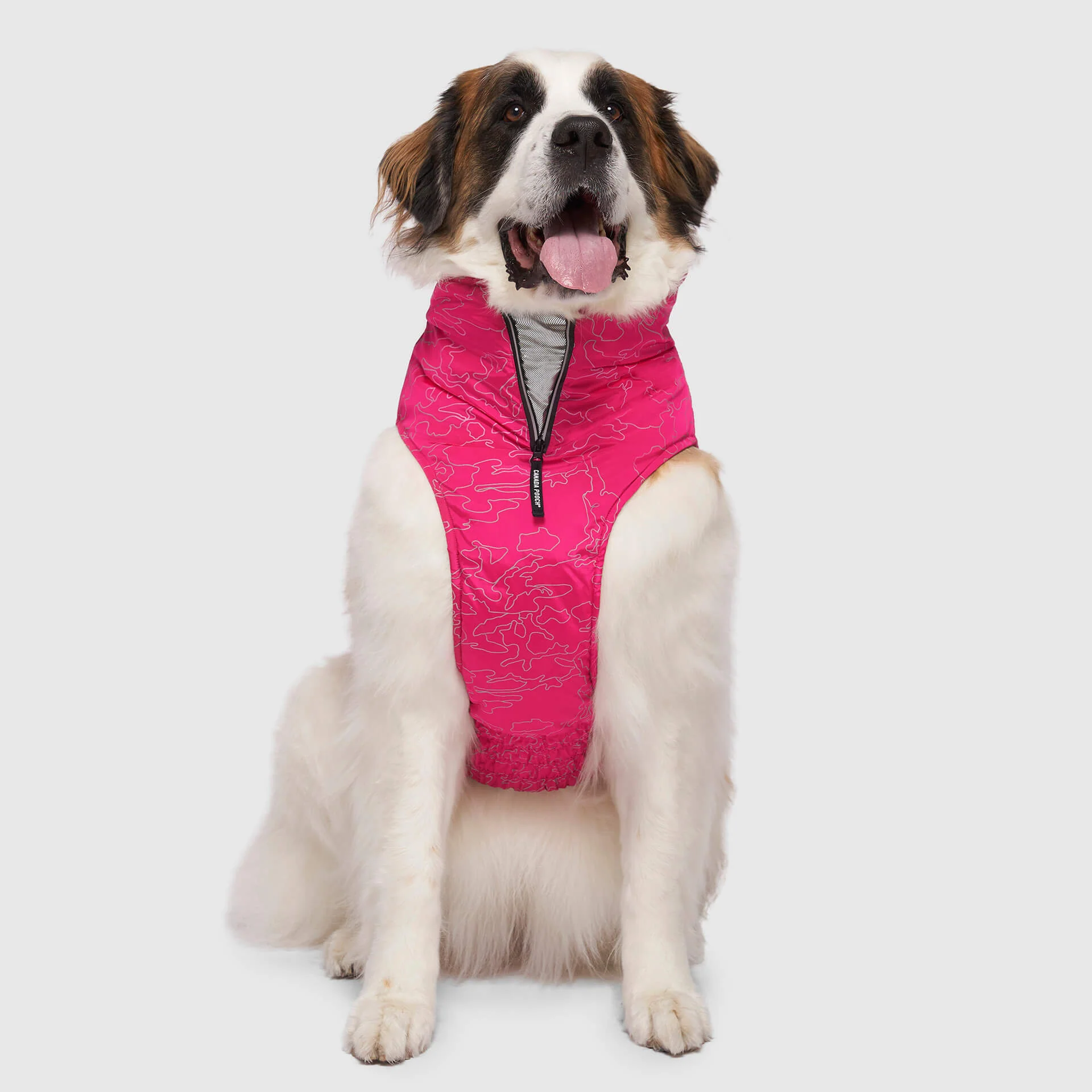 Canada Pooch Expedition Coat 2.0 - Image 11