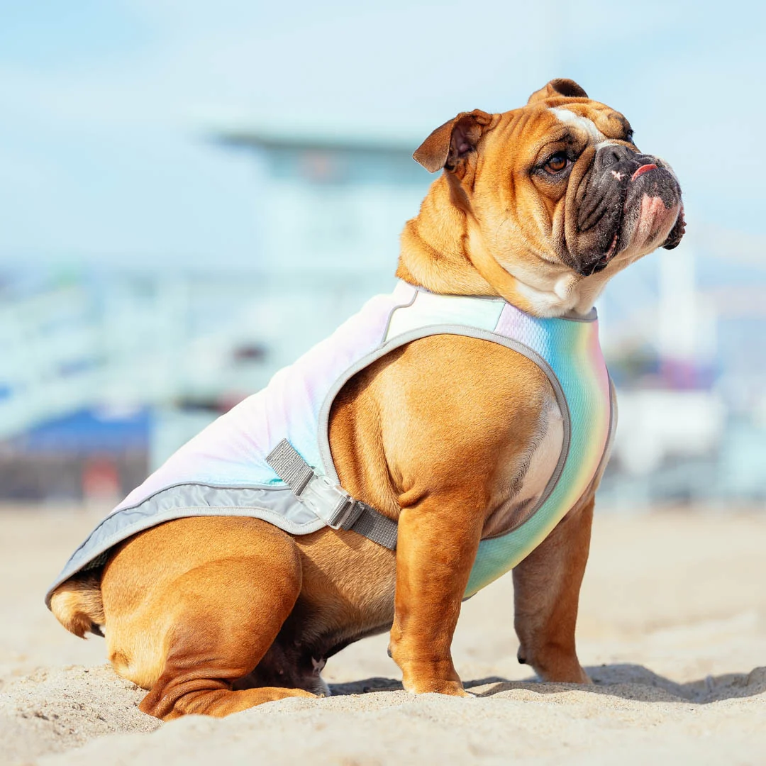 Canada Pooch Chill Seeker Cooling Vest - Image 11