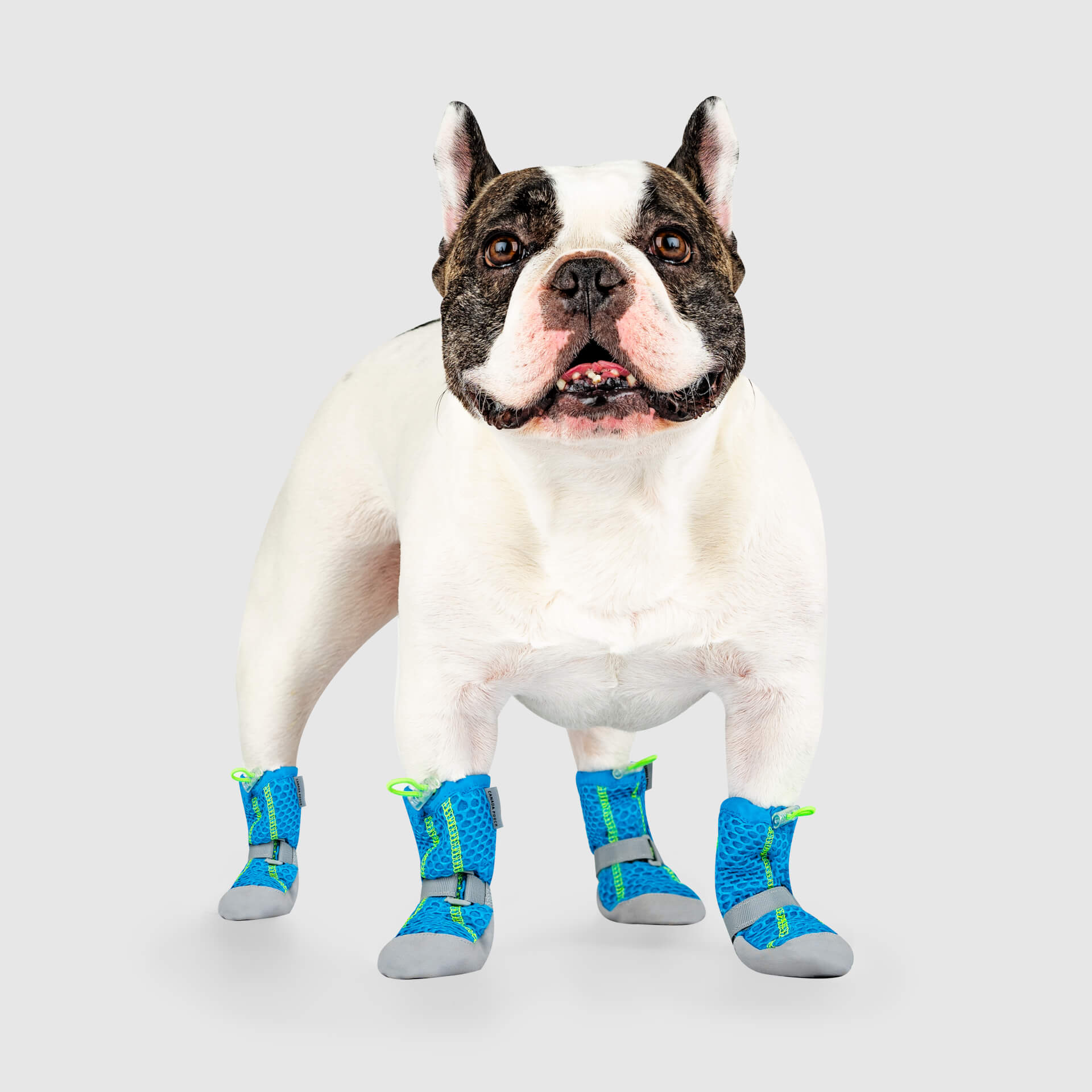 Canada Pooch Hot Pavement Boots - Image 2