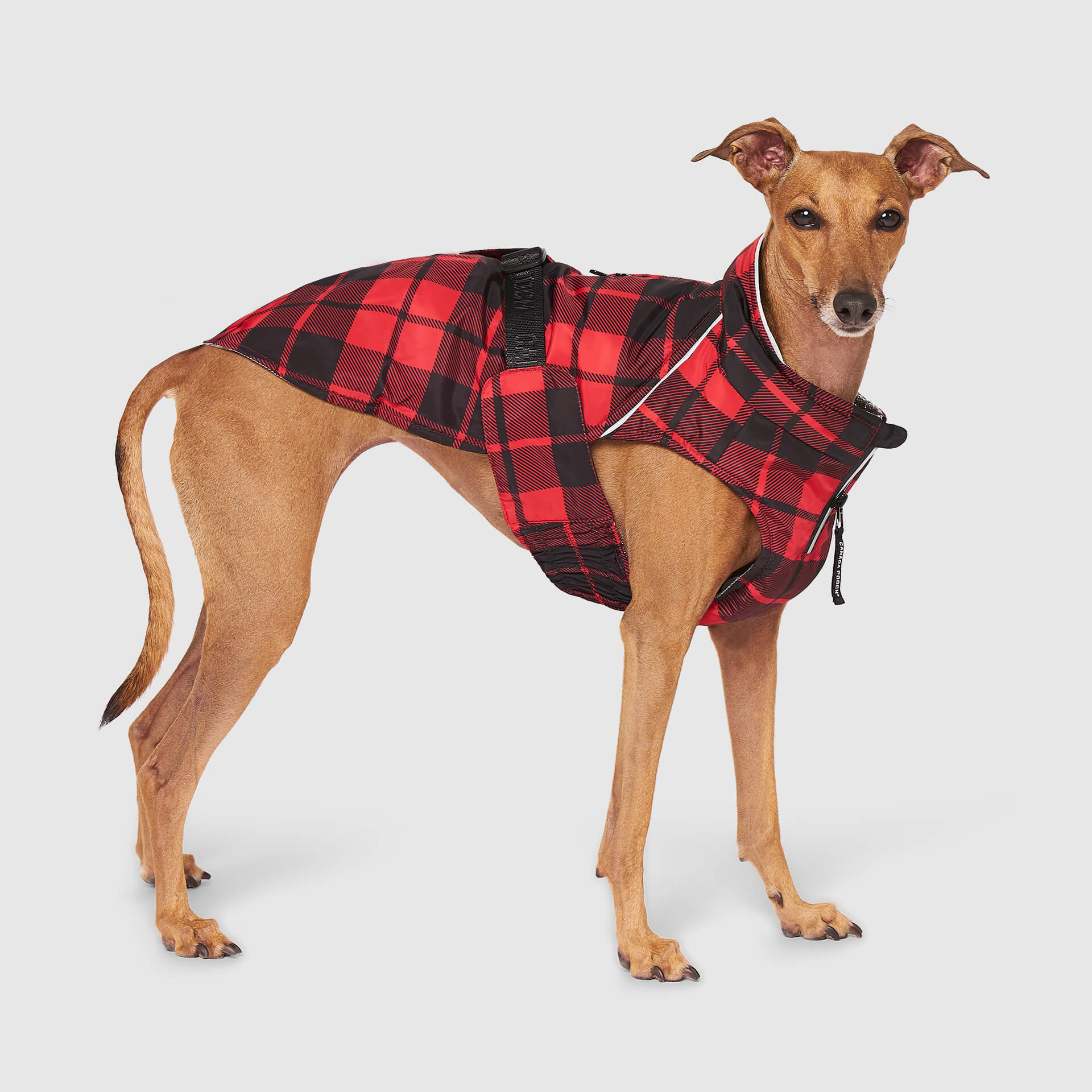 Canada Pooch Expedition Coat 2.0 - Image 5