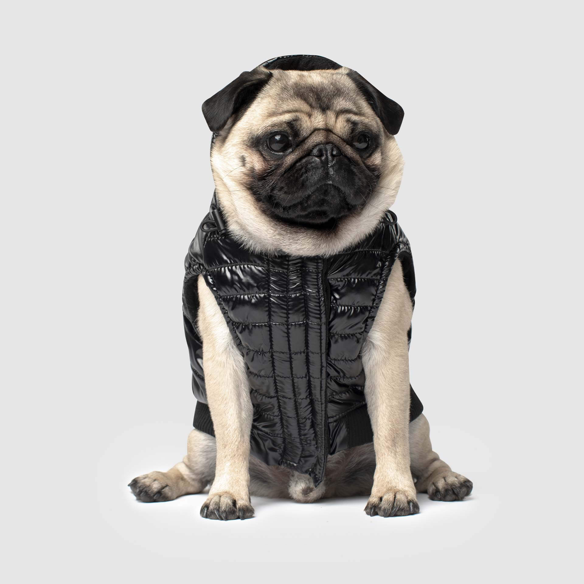 Canada Pooch Shiny Puffer Vest - Image 2