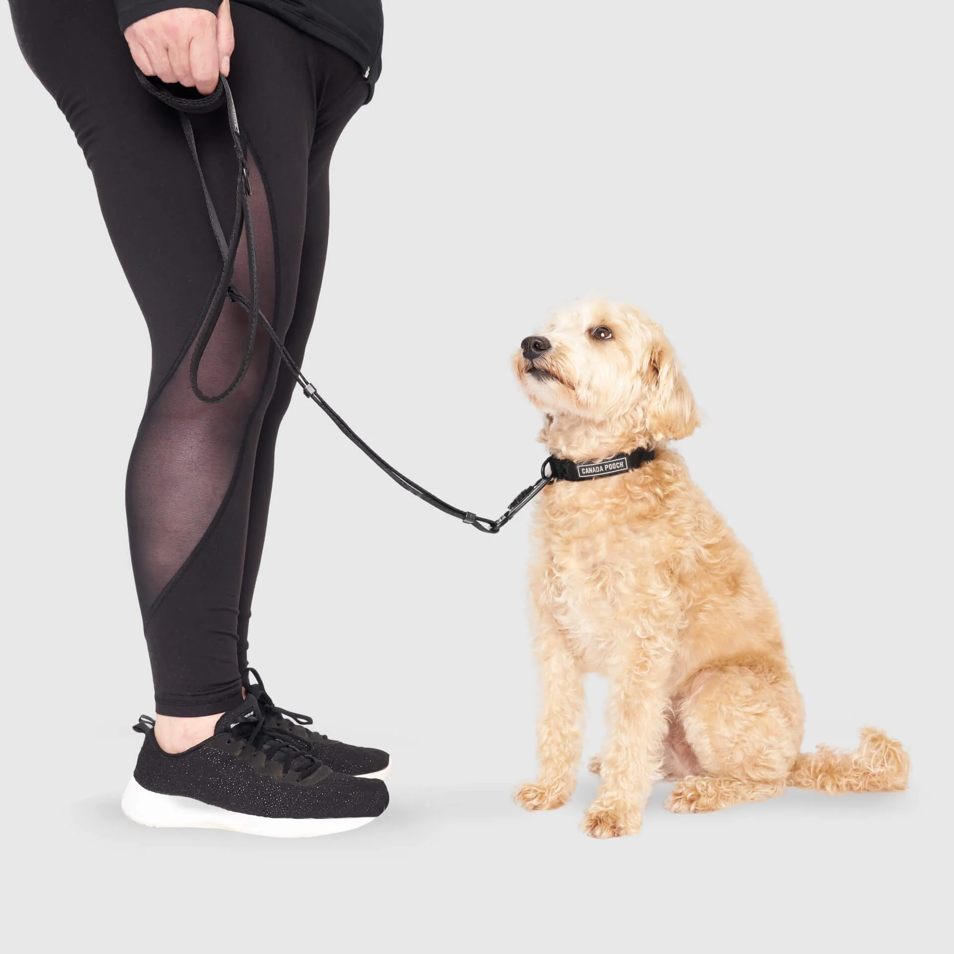 Canada Pooch Utility Leash