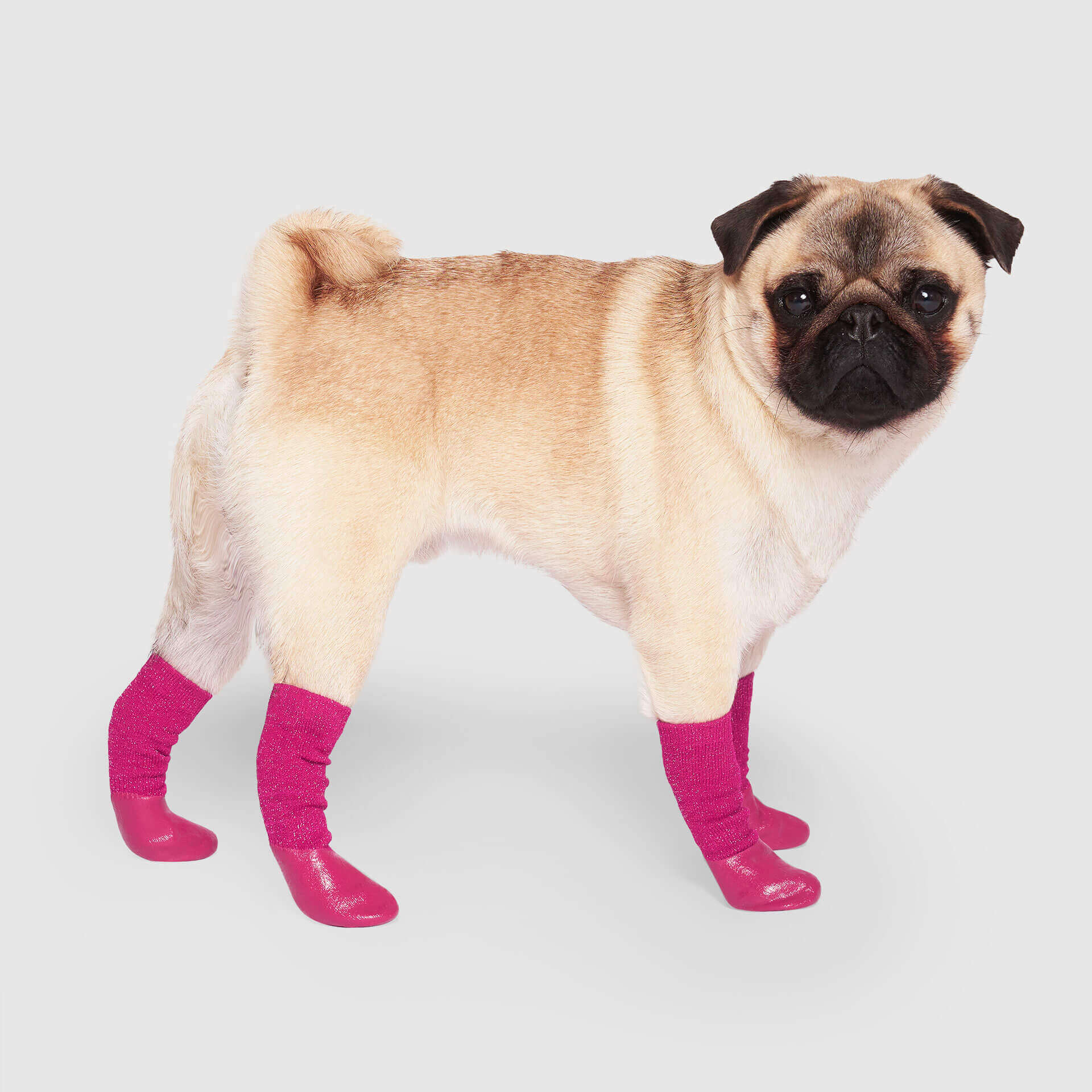 Canada Pooch Slouchy Socks - Image 5