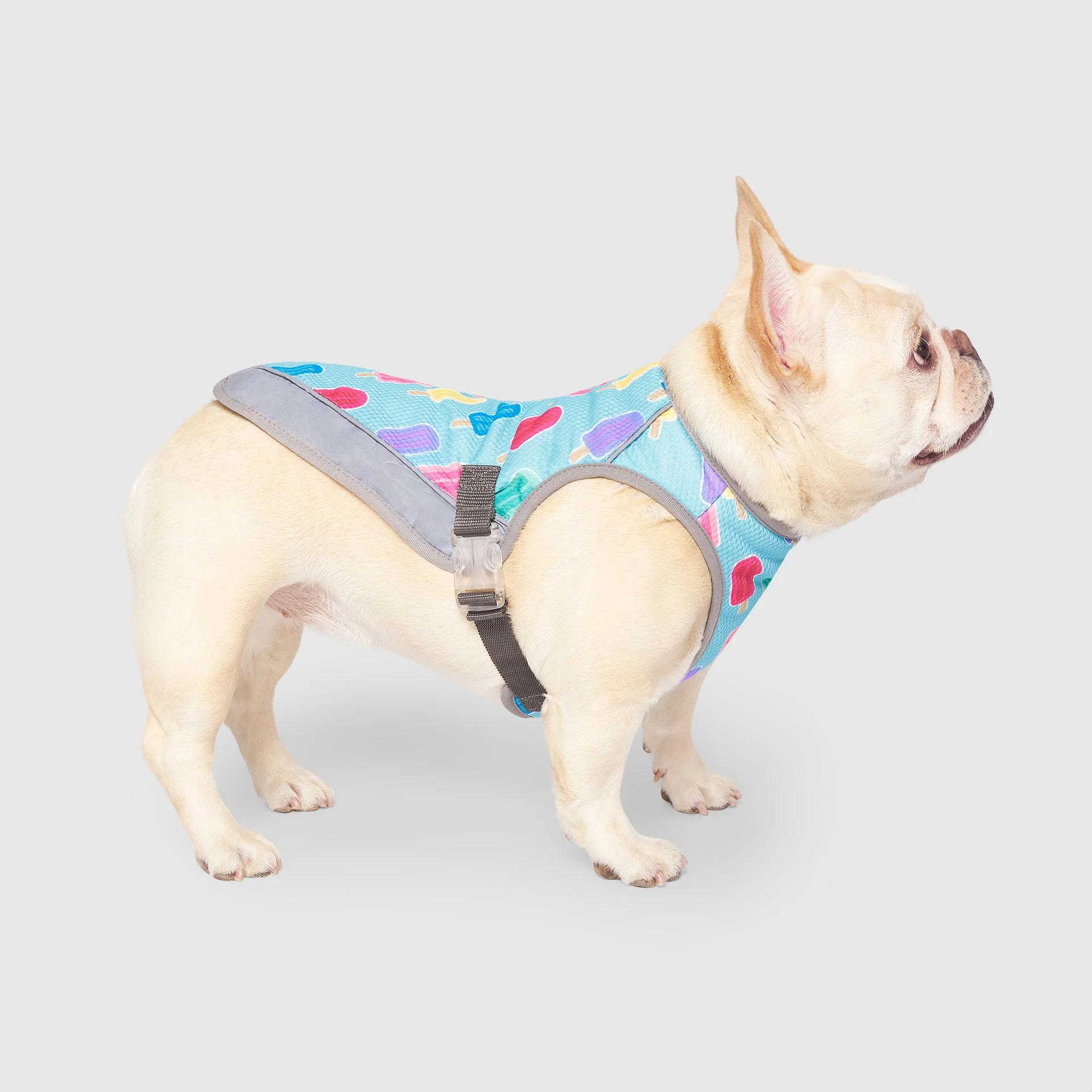 Canada Pooch Chill Seeker Cooling Vest - Image 27