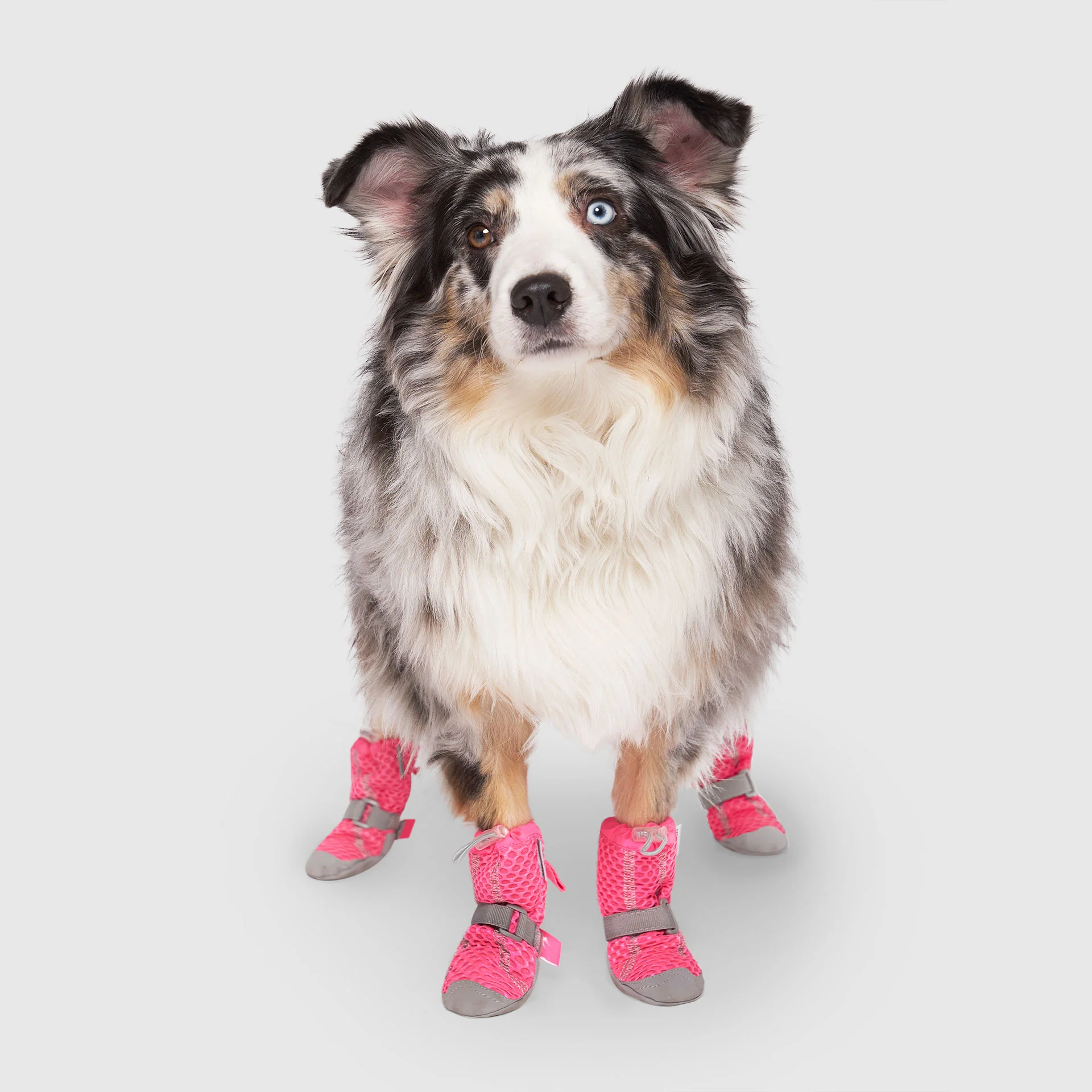 Canada Pooch Hot Pavement Boots - Image 10