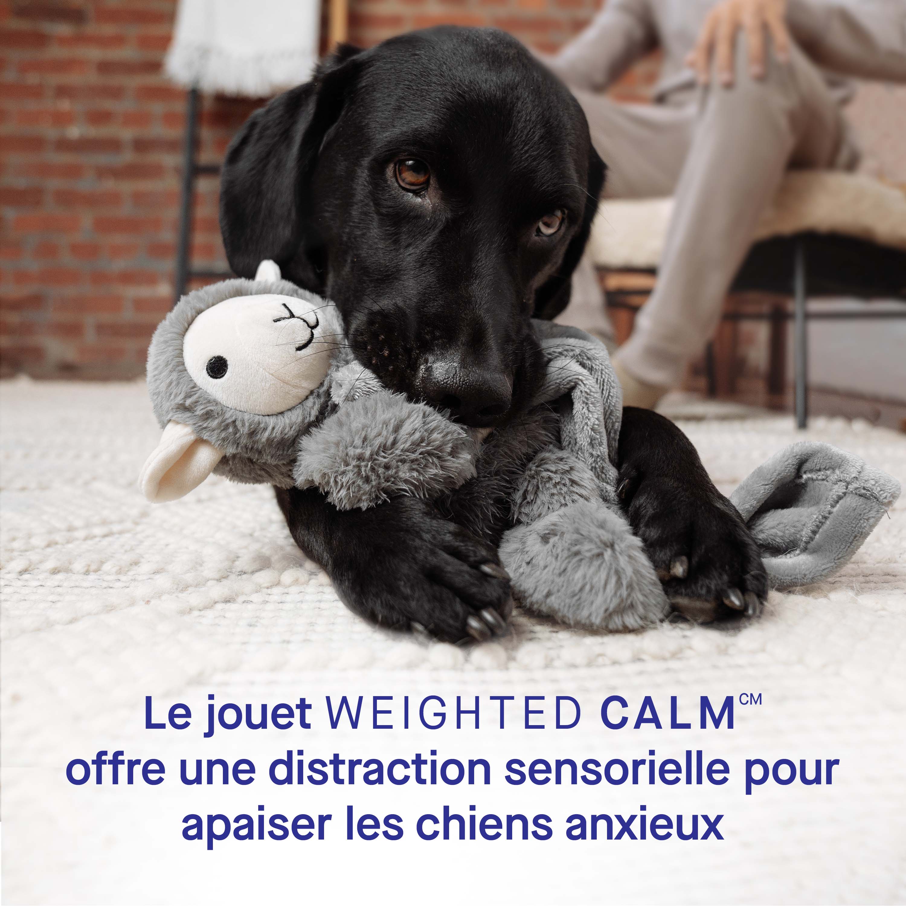 Canada Pooch Weighted Calming Toy - Image 5