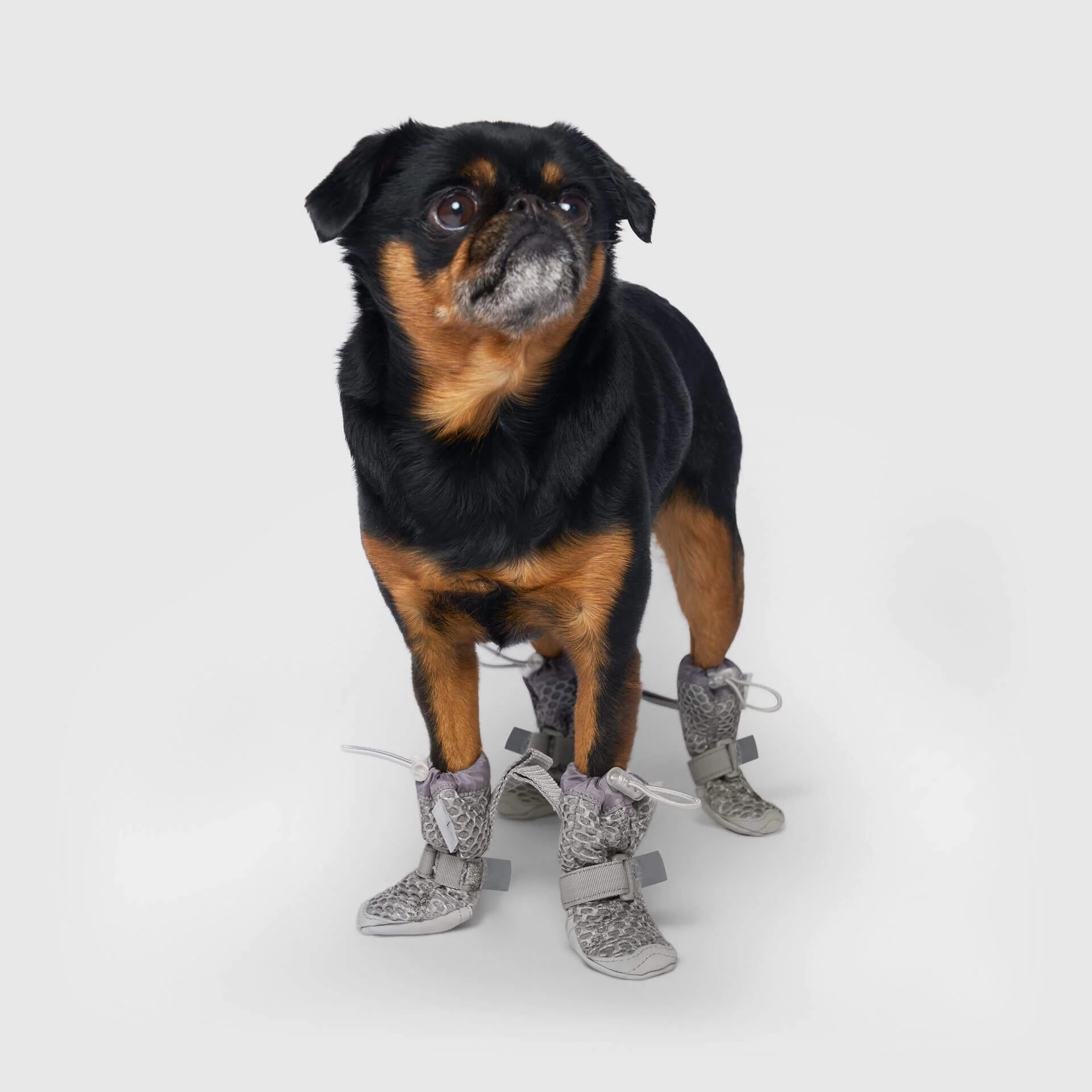 Canada Pooch Hot Pavement Boots - Image 7
