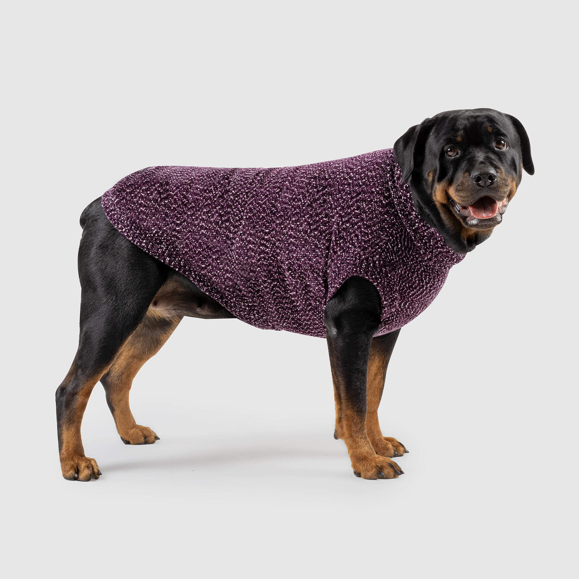 Canada Pooch Soho Sweater - Image 5