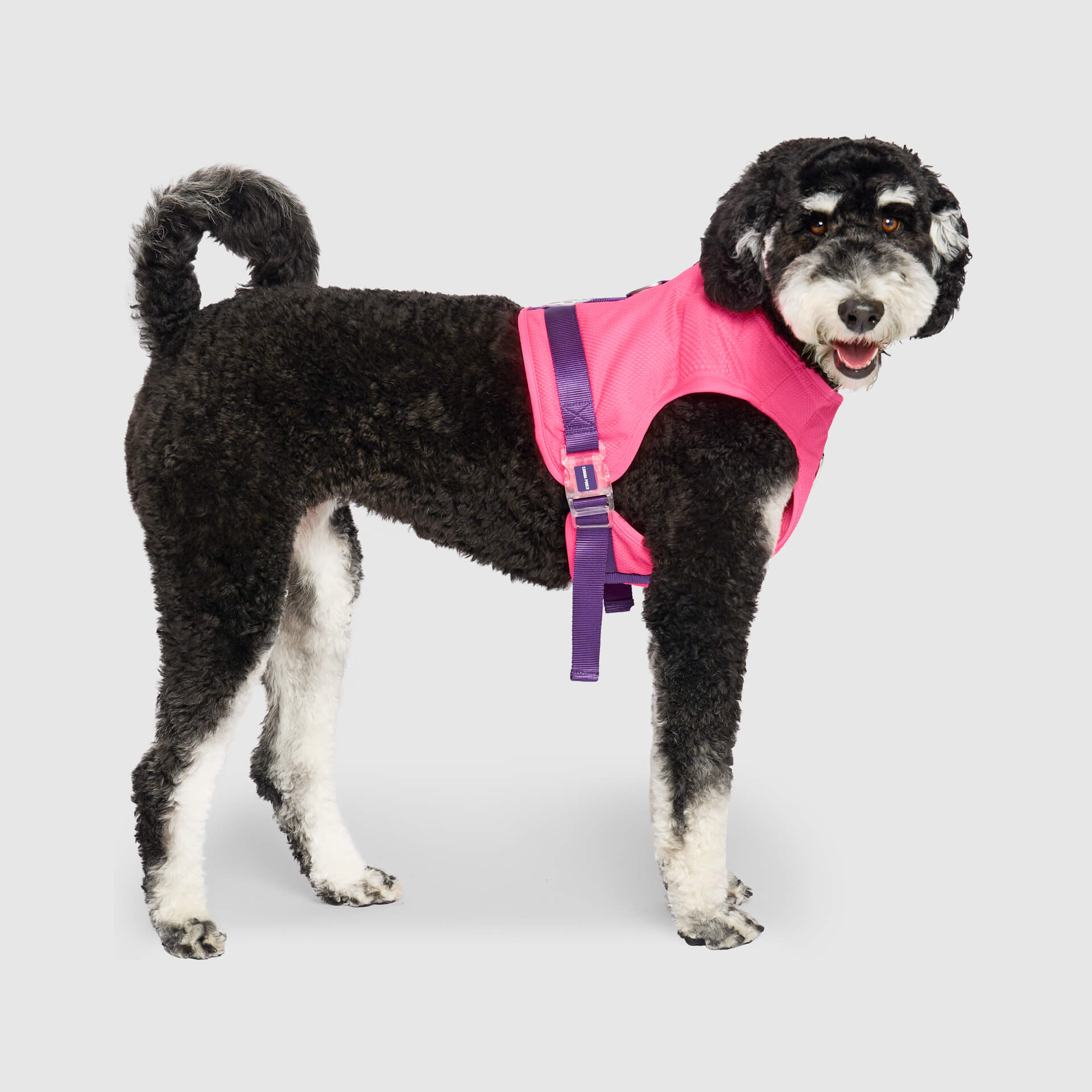 Canada Pooch Chill Seeker Cooling Harness - Image 10