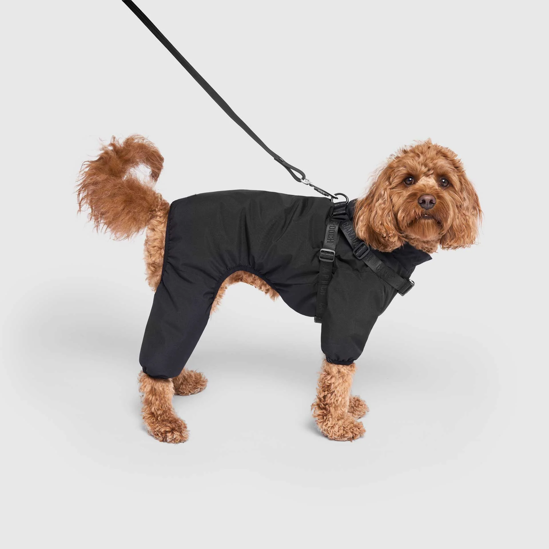 Canada Pooch Harness Snow Suit