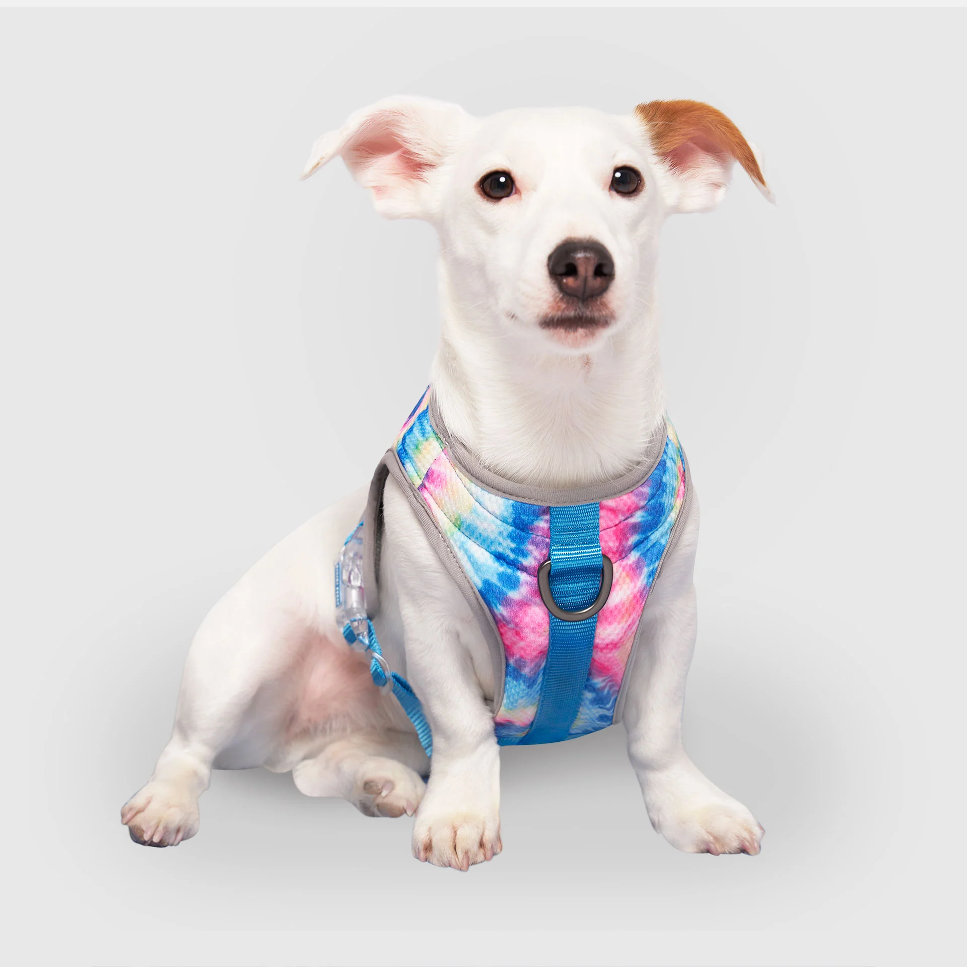 Canada Pooch Chill Seeker Cooling Harness - Image 7