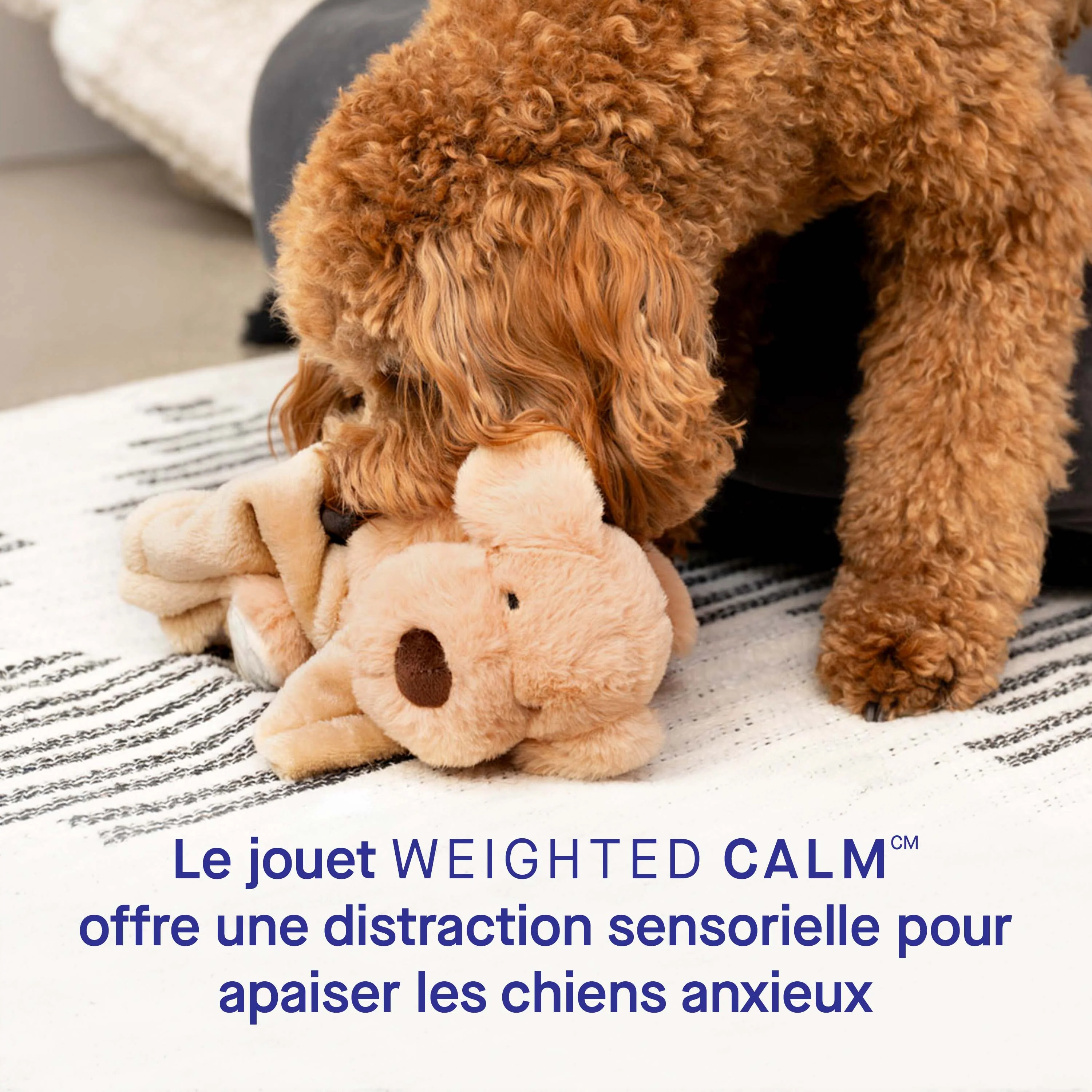 Canada Pooch Weighted Calming Toy - Image 16