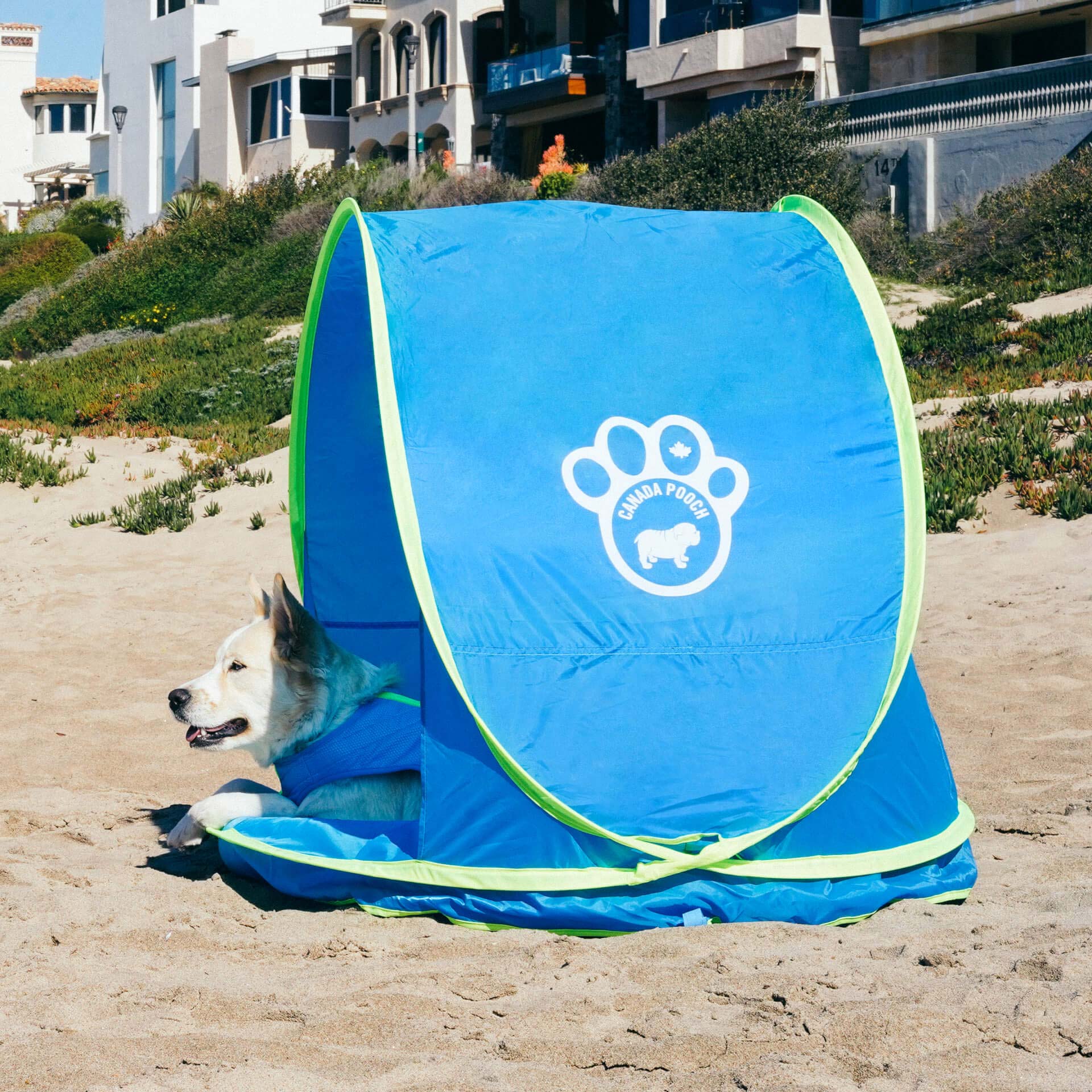 Canada Pooch Chill Seeker Cooling Station - Image 2