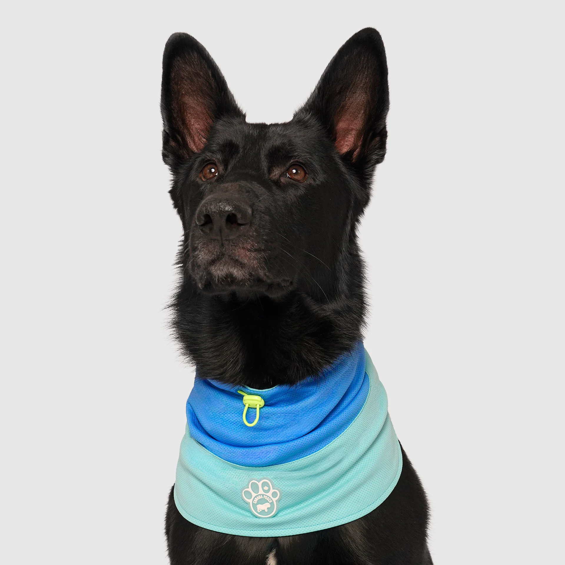 Canada Pooch Max Chill Cooling Snood