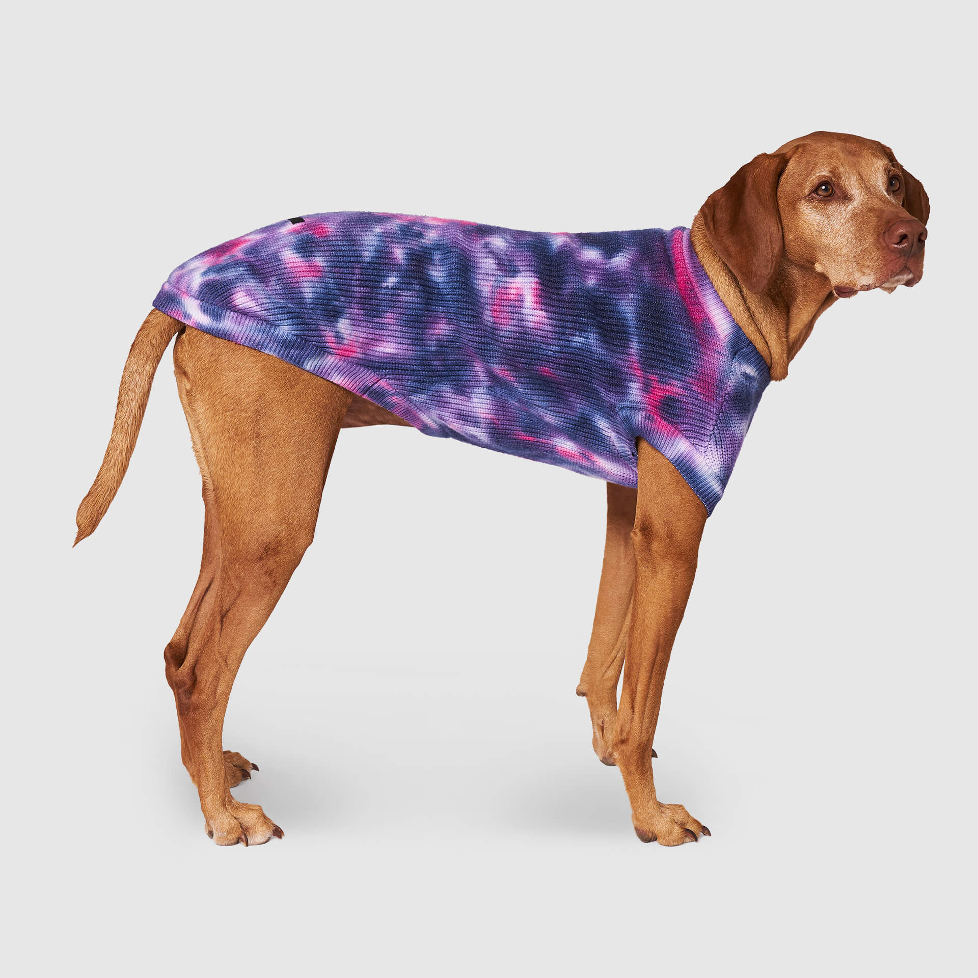 Canada Pooch Wild Side Sweater - Image 3