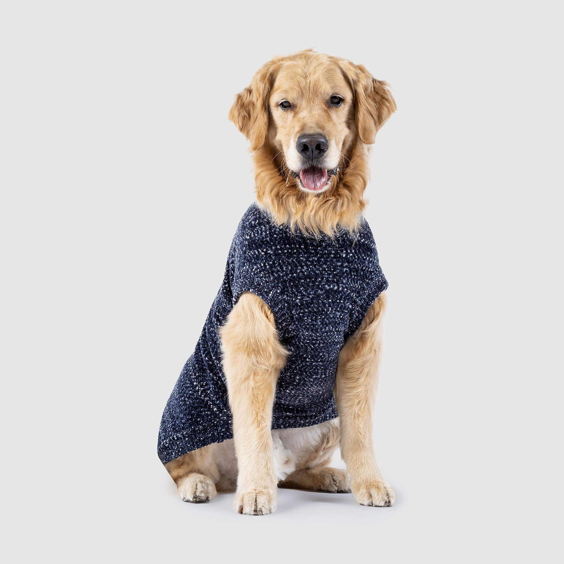 Canada Pooch Soho Sweater - Image 2