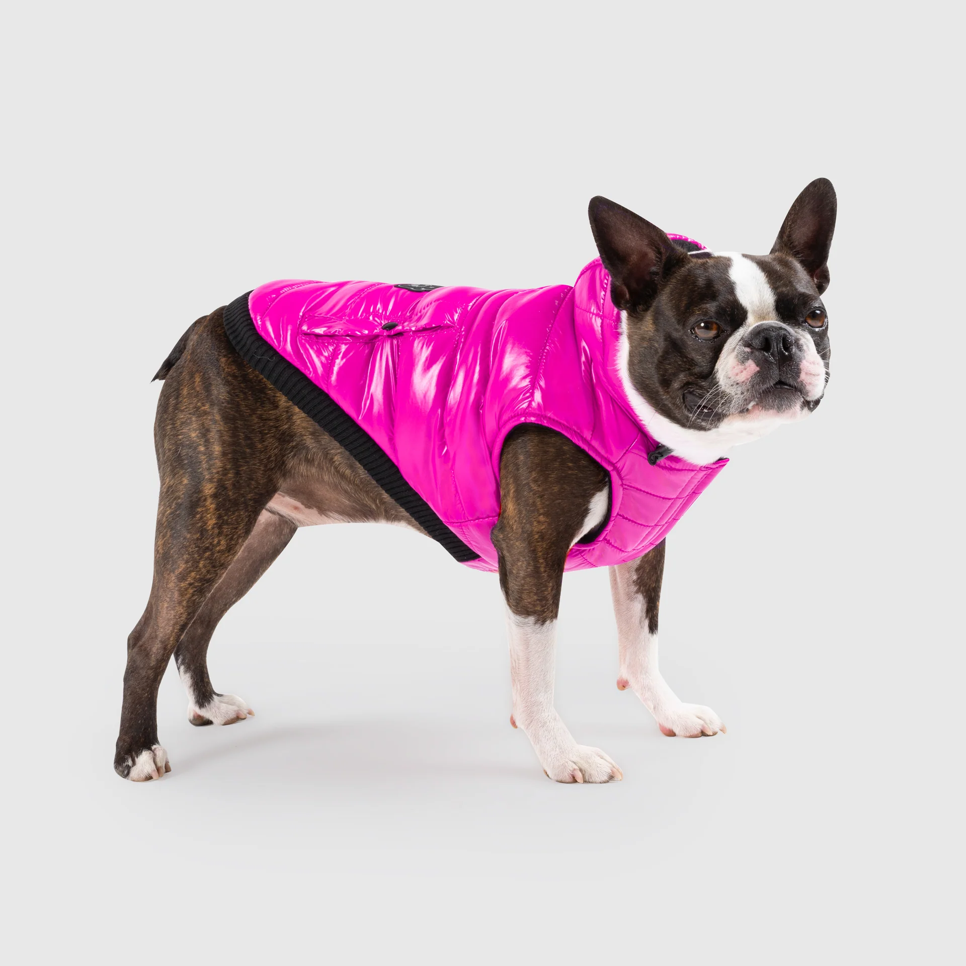 Canada Pooch Shiny Puffer Vest - Image 5
