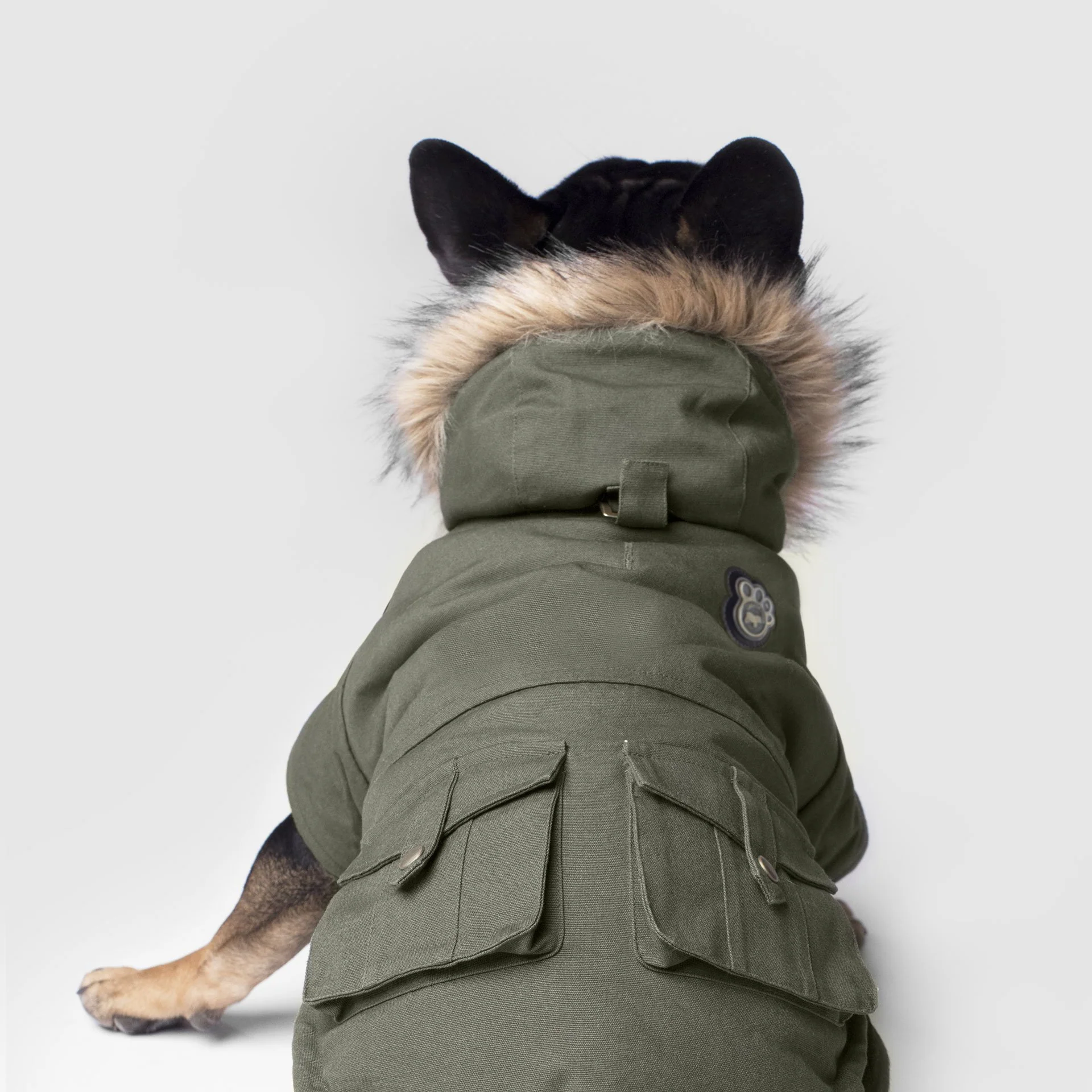 Canada Pooch Alaskan Army Parka - Image 8