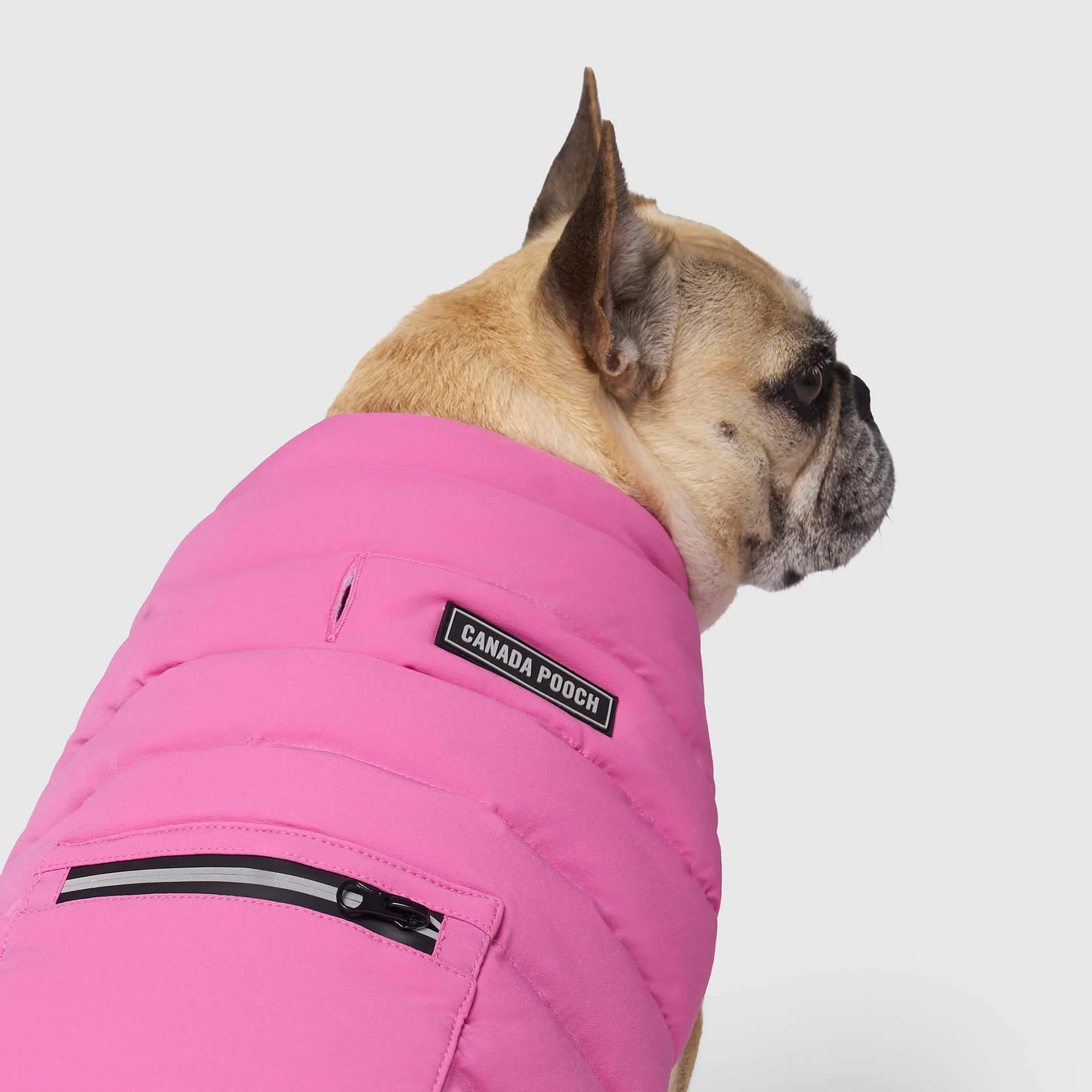Canada Pooch Ultimate Stretch Vest - Image 8