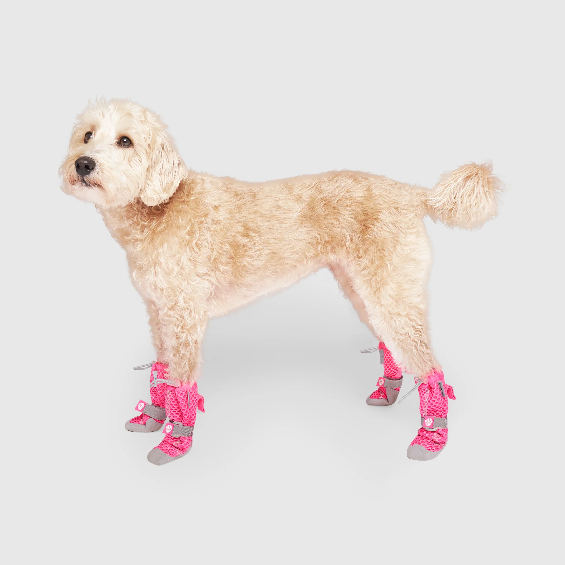 Canada Pooch Hot Pavement Boots - Image 11