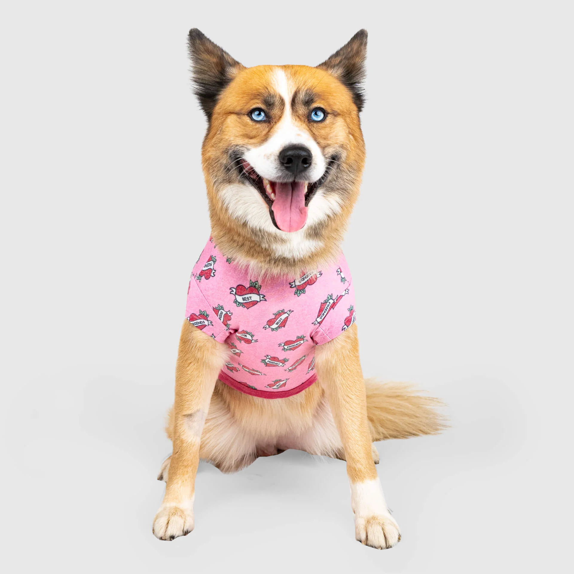 Canada Pooch Follow Me Tee - Image 5