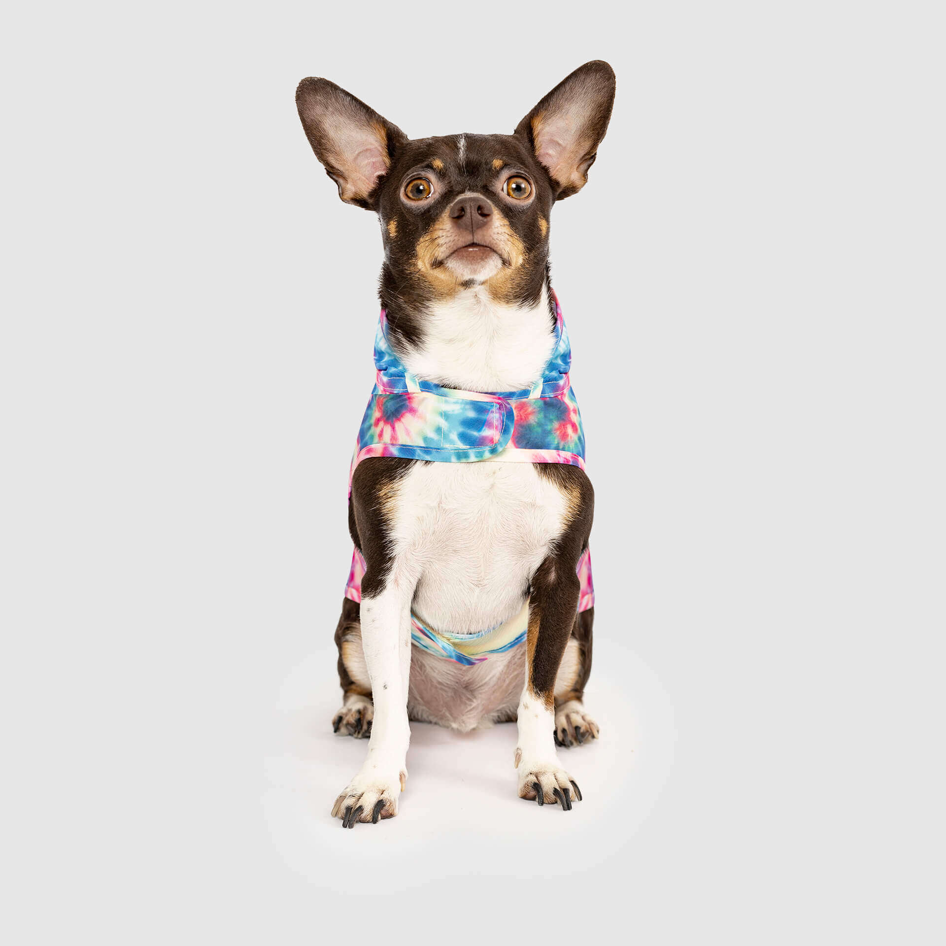Canada Pooch Pick Me Poncho — SKU SB-A53199-ADDD5996031858 - Image 12