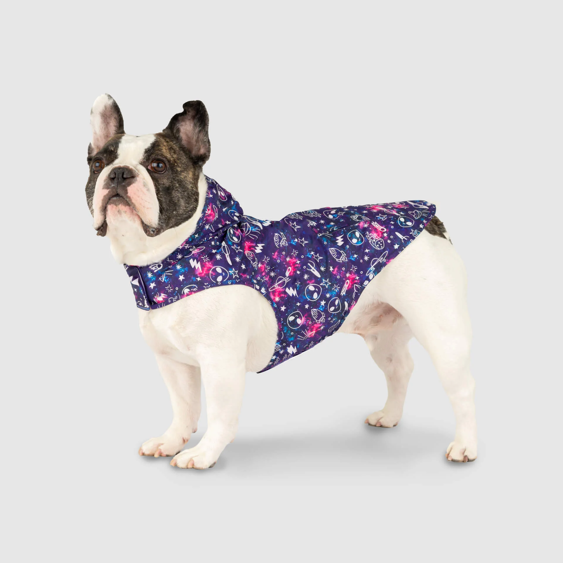 Canada Pooch Pick Me Poncho — SKU SB-A53199-ADDD5996031858 - Image 6