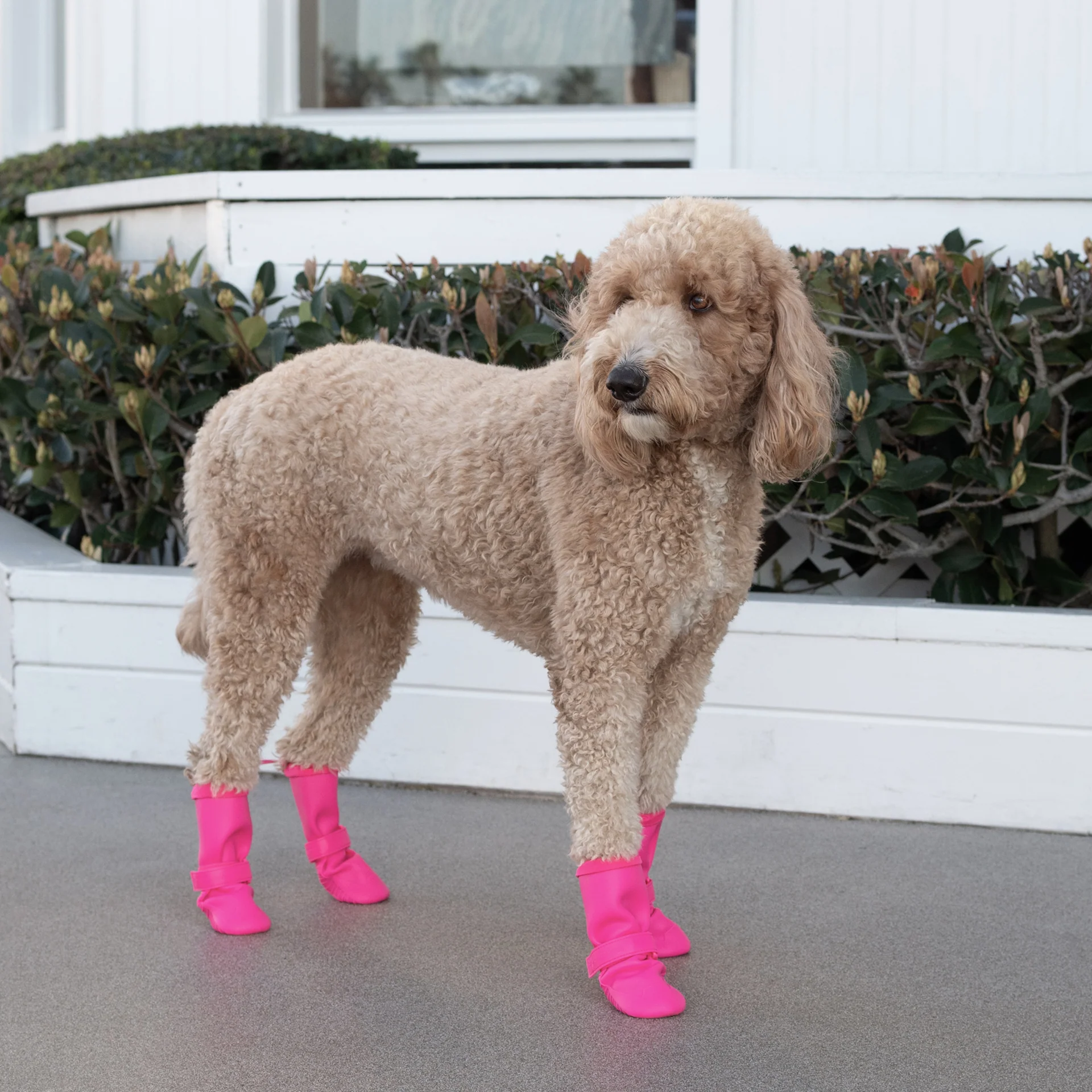 Canada Pooch Waterproof Rain Boots - Image 16