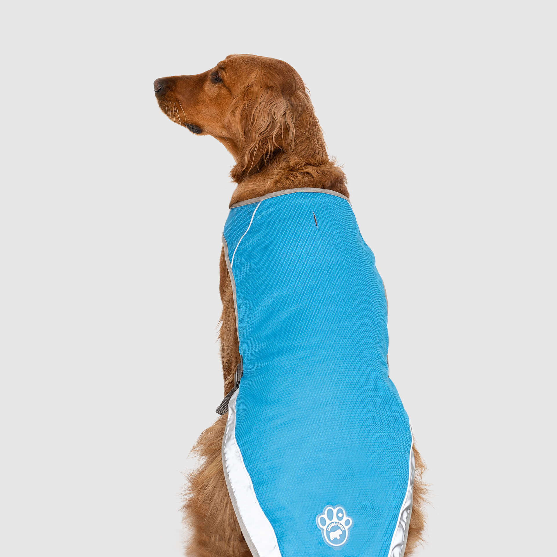 Canada Pooch Chill Seeker Cooling Vest - Image 5