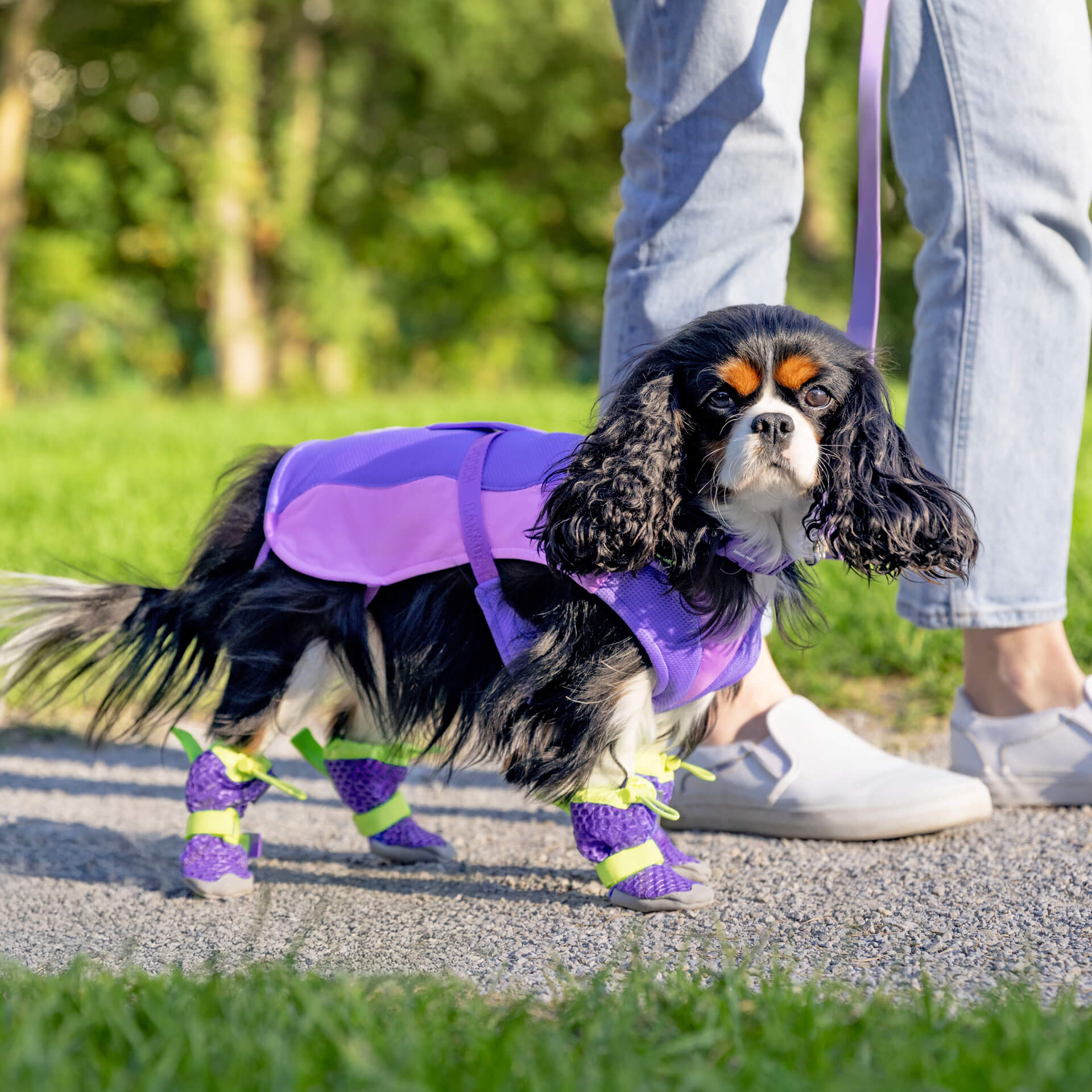 Canada Pooch Hot Pavement Boots - Image 20