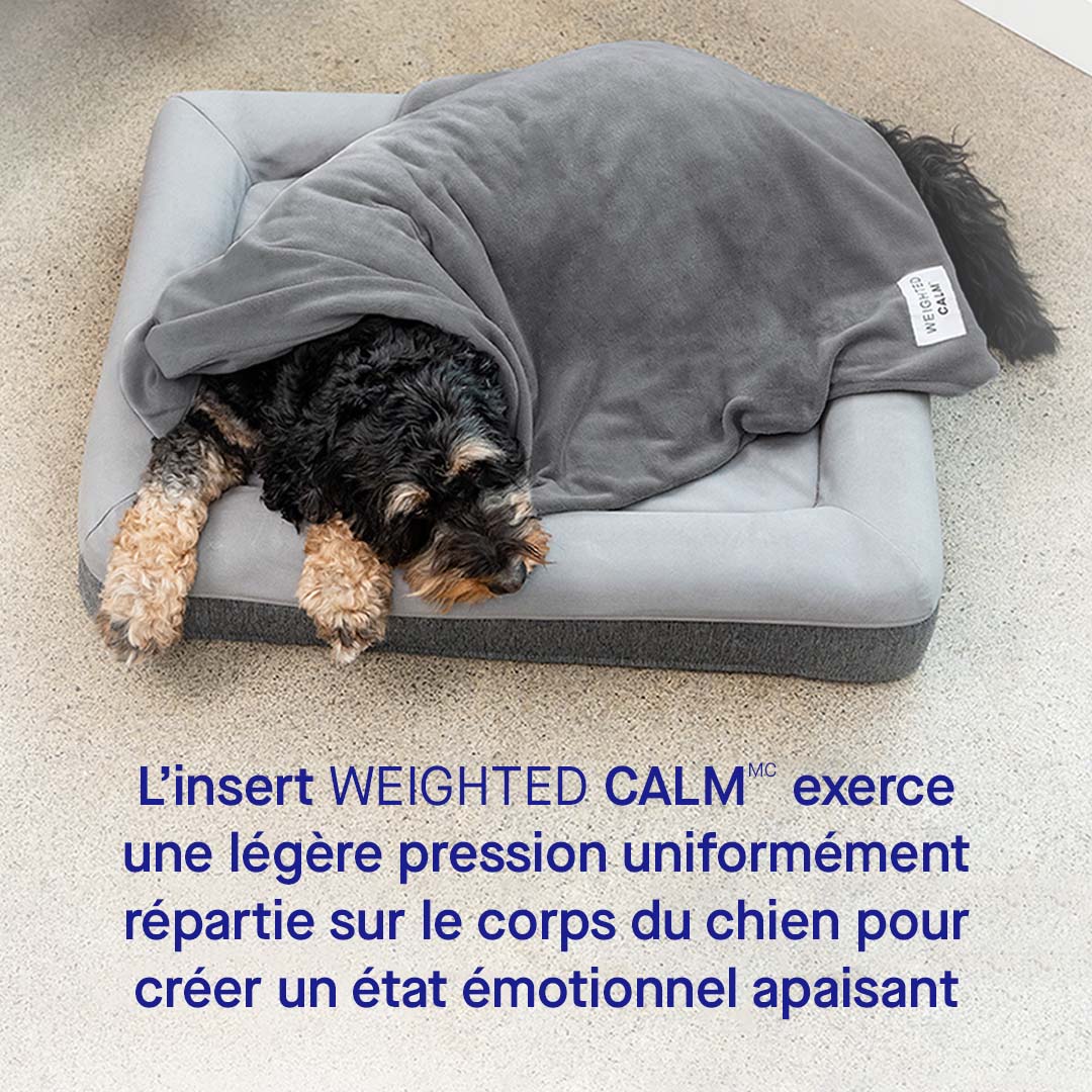 Canada Pooch Weighted Calming Blanket - Image 5