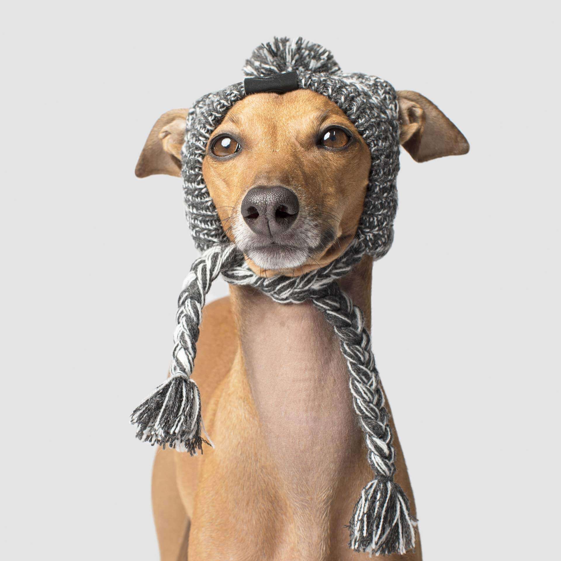 Canada Pooch Polar Pom Pom Hat