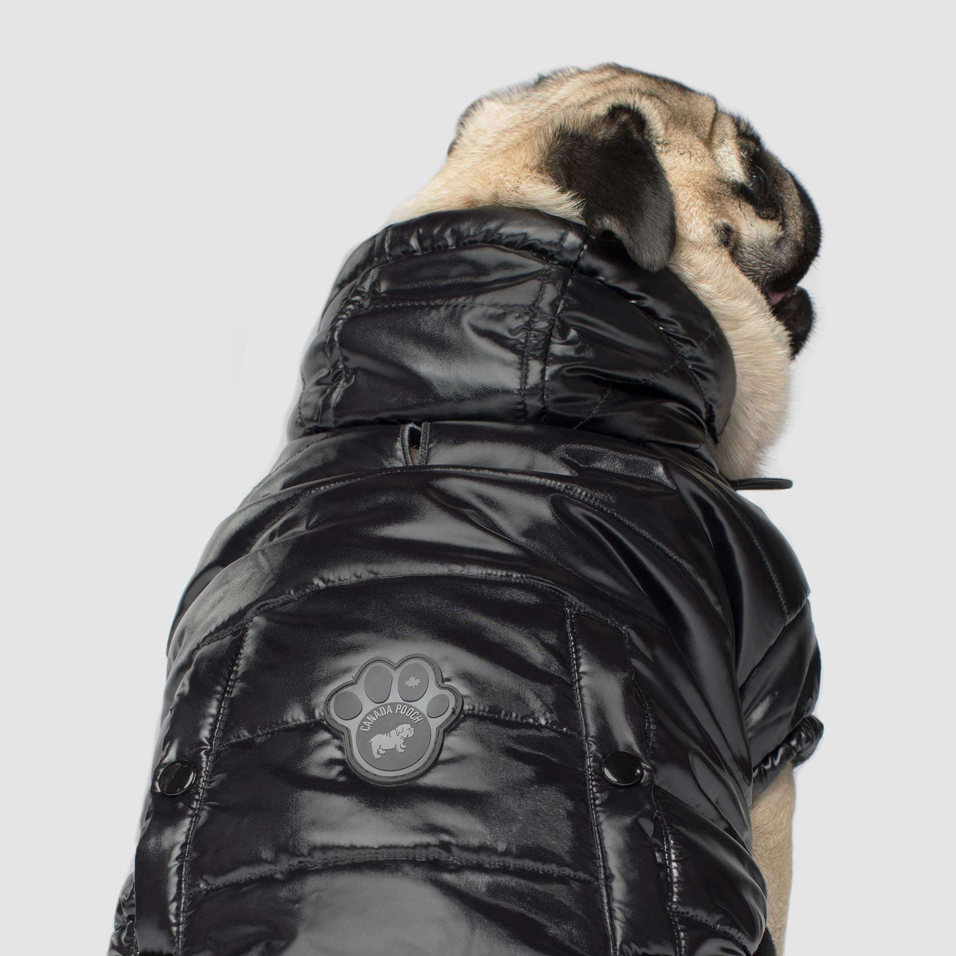 Canada Pooch Shiny Puffer Vest - Image 3