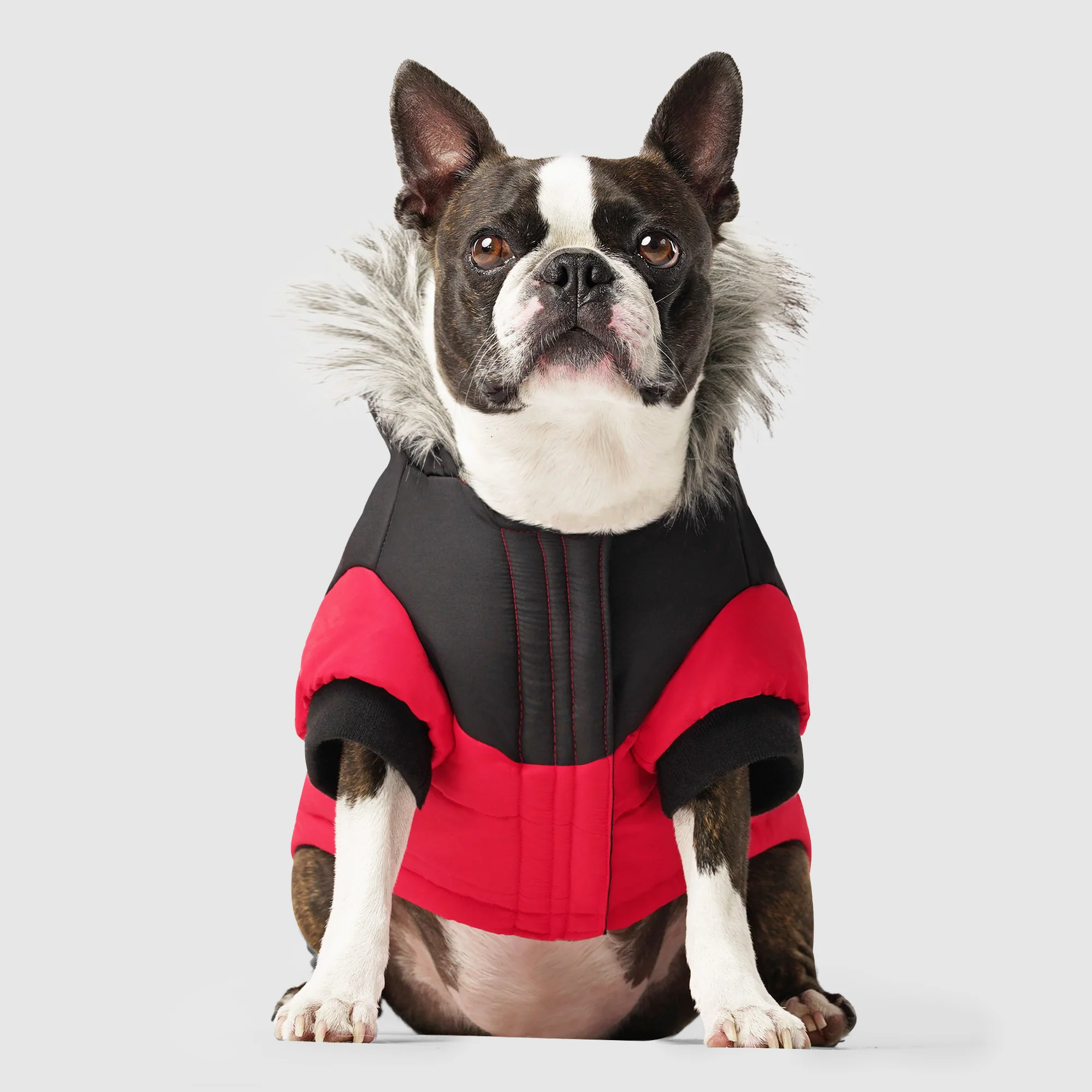 Canada Pooch True North Parka - Image 13