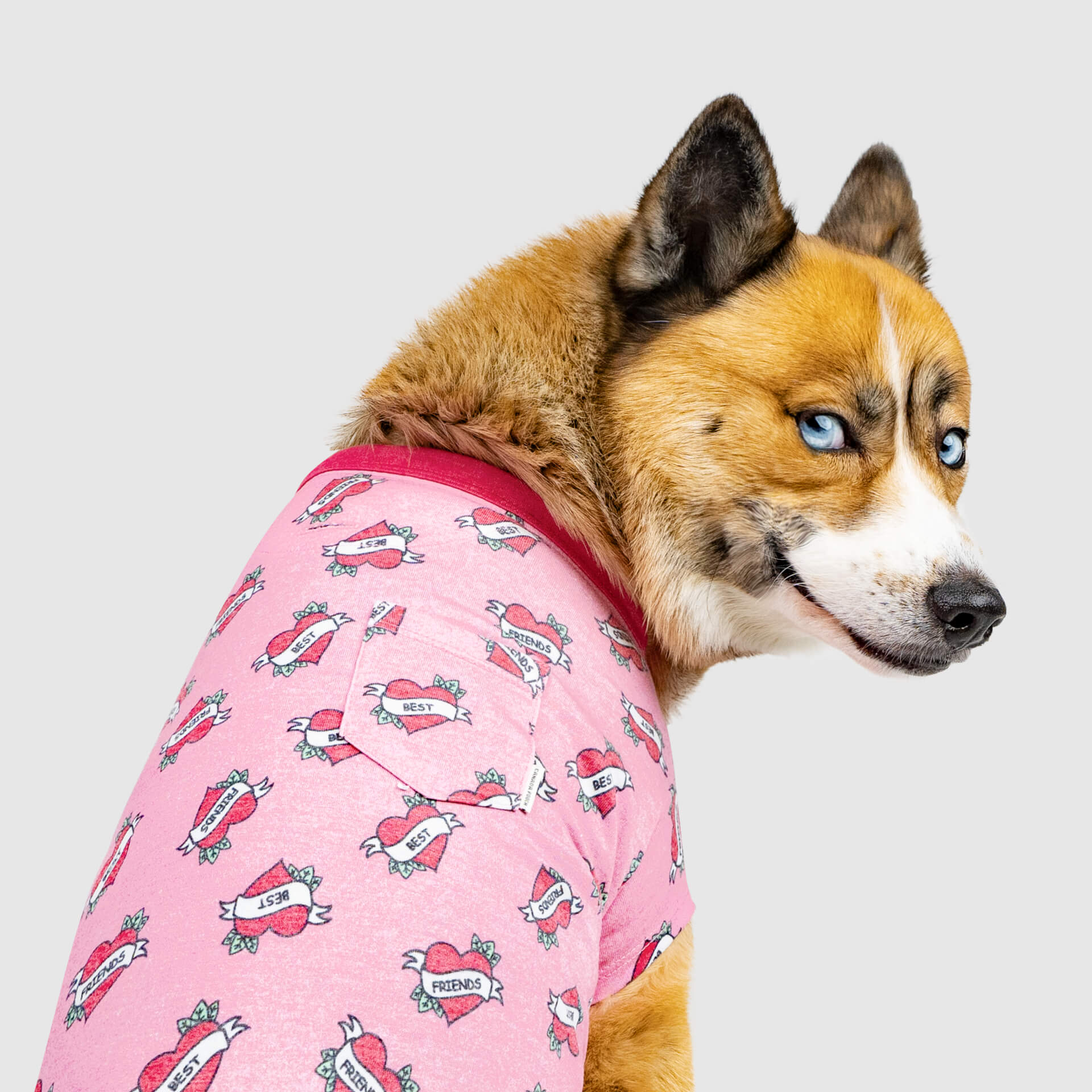Canada Pooch Follow Me Tee - Image 7