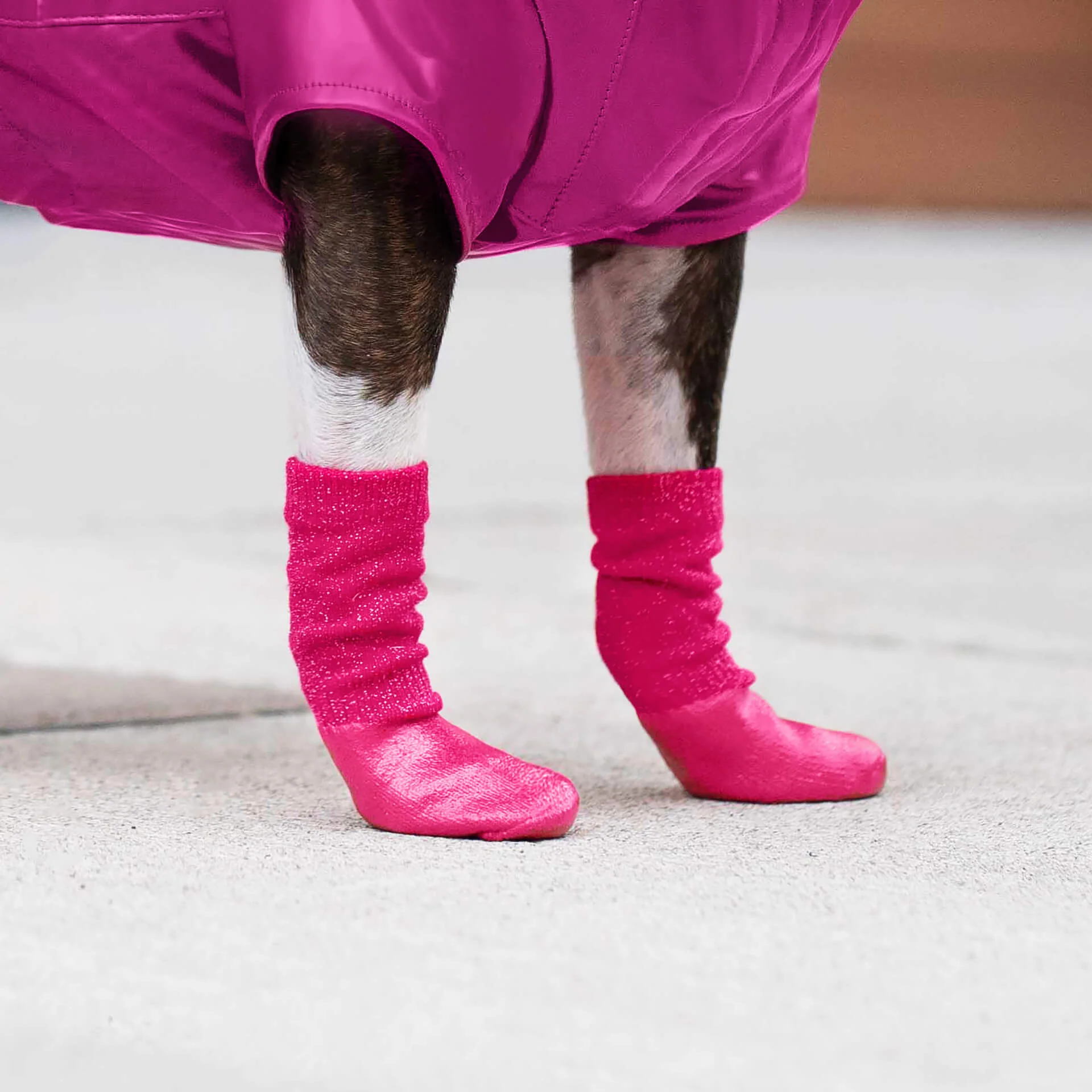 Canada Pooch Slouchy Socks - Image 8