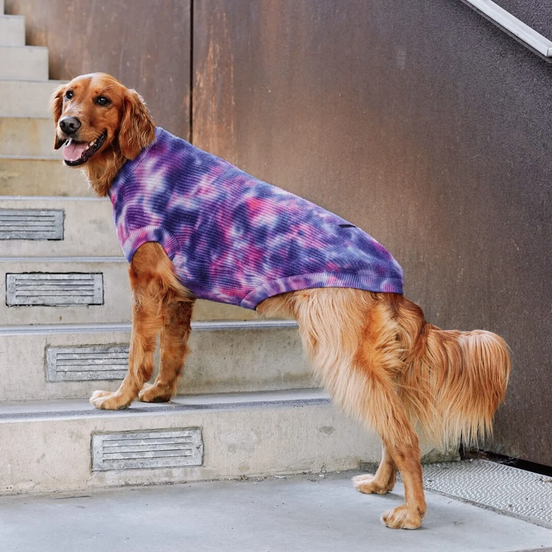 Canada Pooch Wild Side Sweater - Image 5