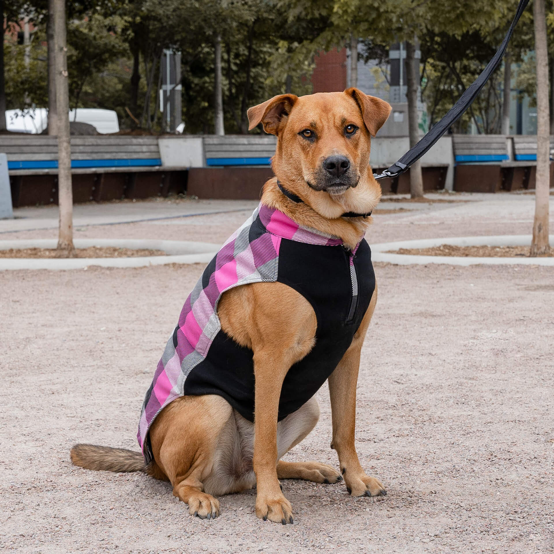 Canada Pooch Thermal Tech Fleece - Image 15