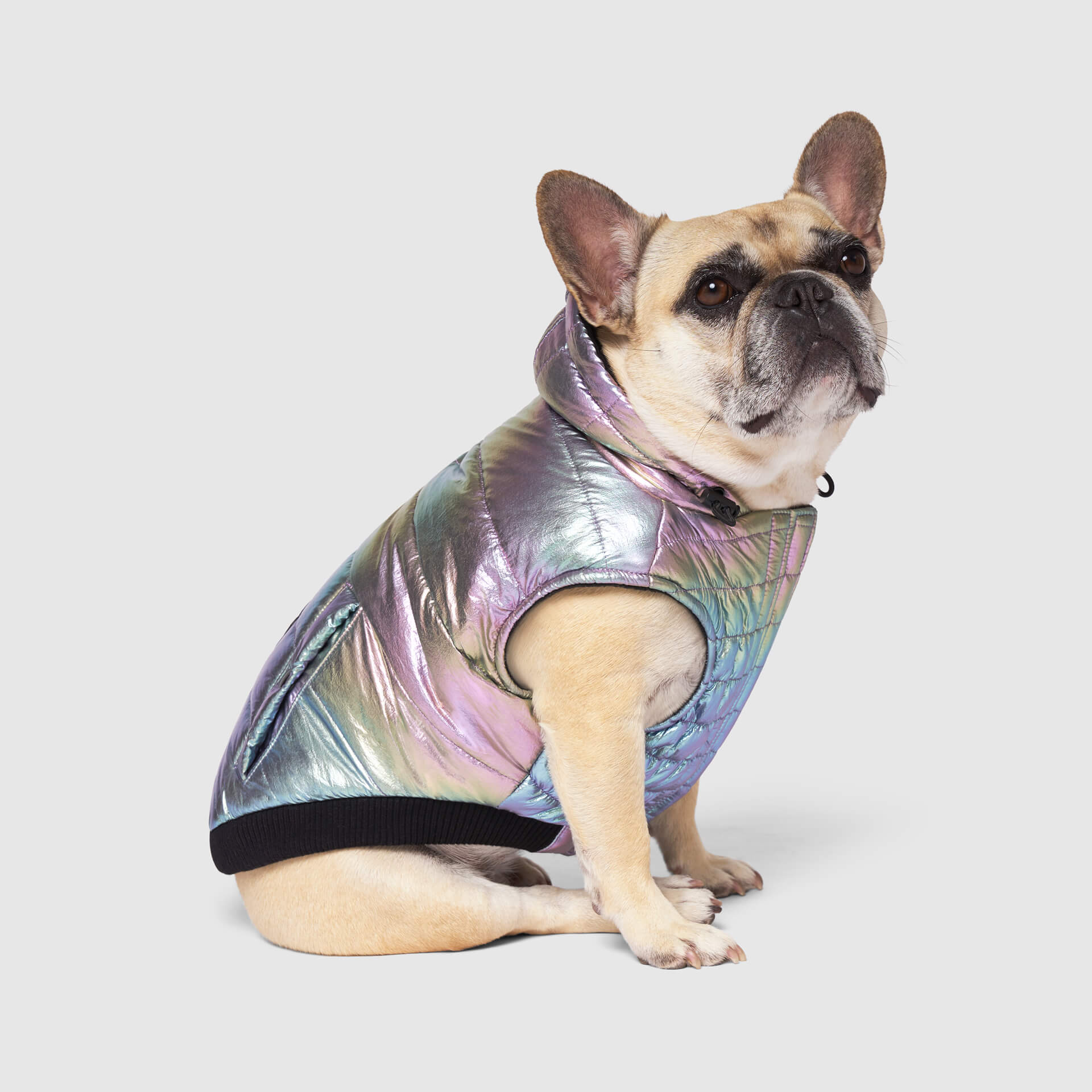 Canada Pooch Shiny Puffer Vest - Image 9