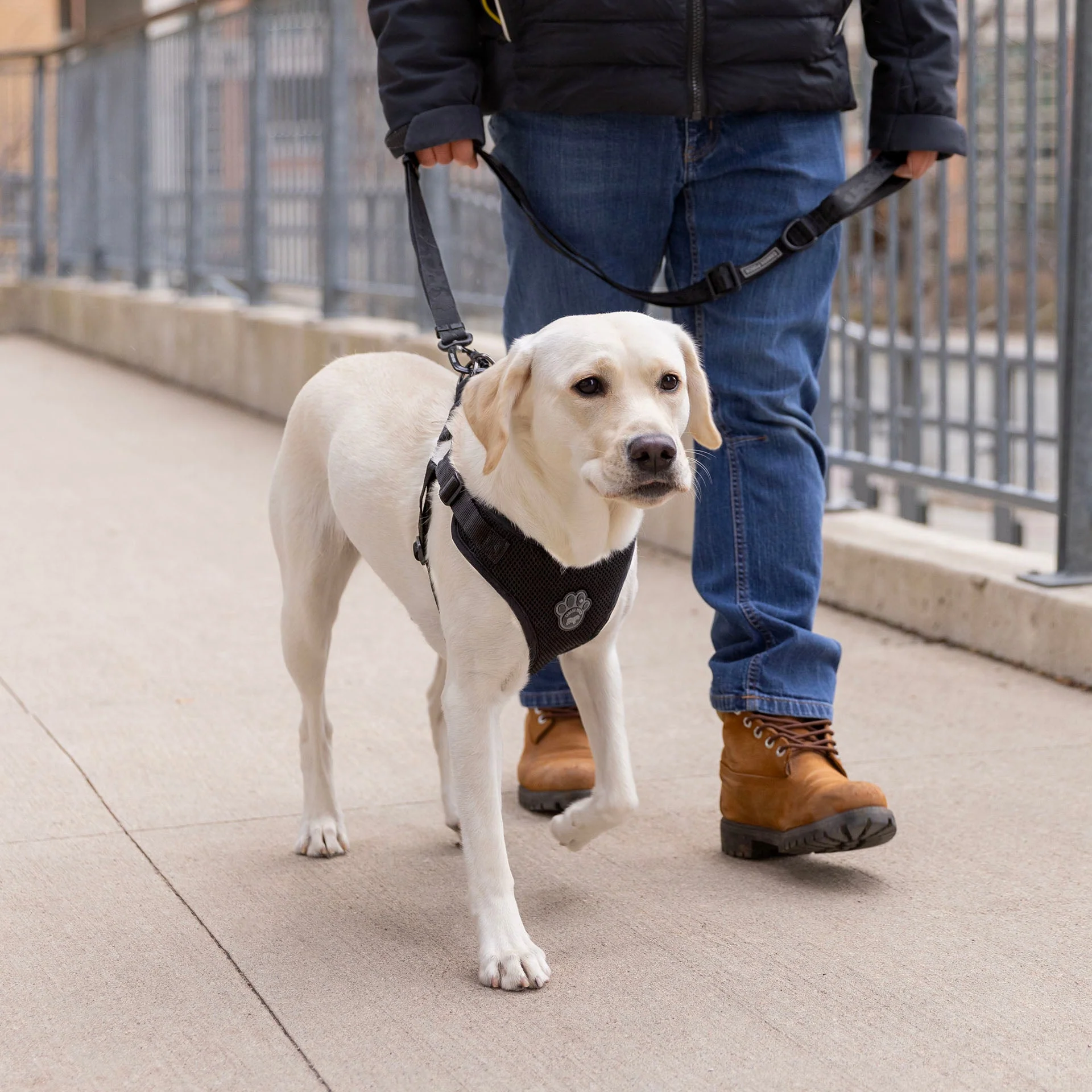Canada Pooch Easy-On Step-In Harness - Image 4