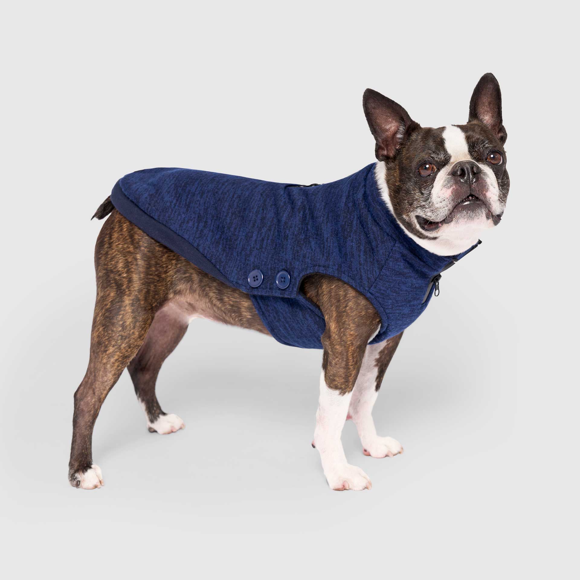 Canada Pooch Waterproof Sweater - Image 8