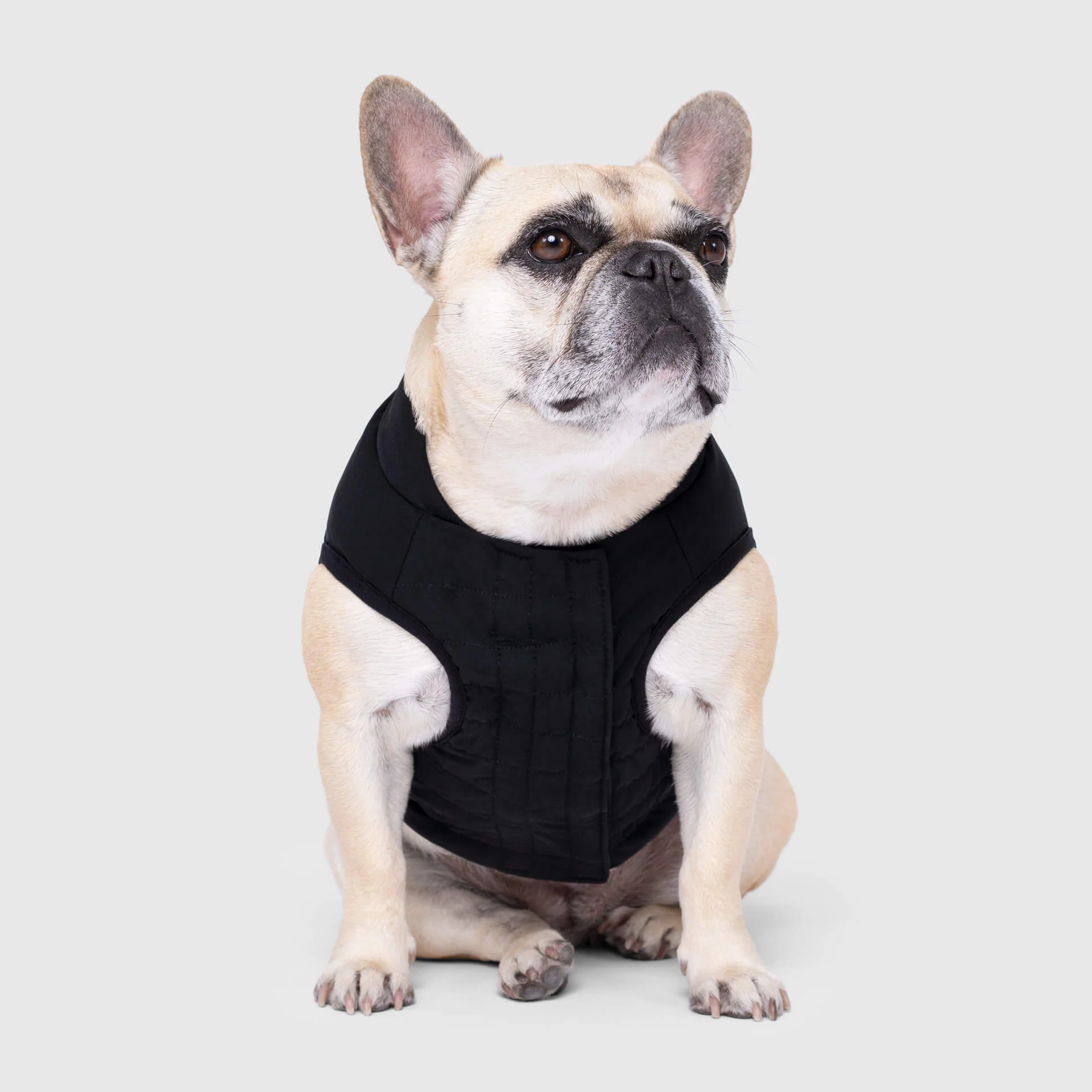 Canada Pooch Ultimate Stretch Vest - Image 2