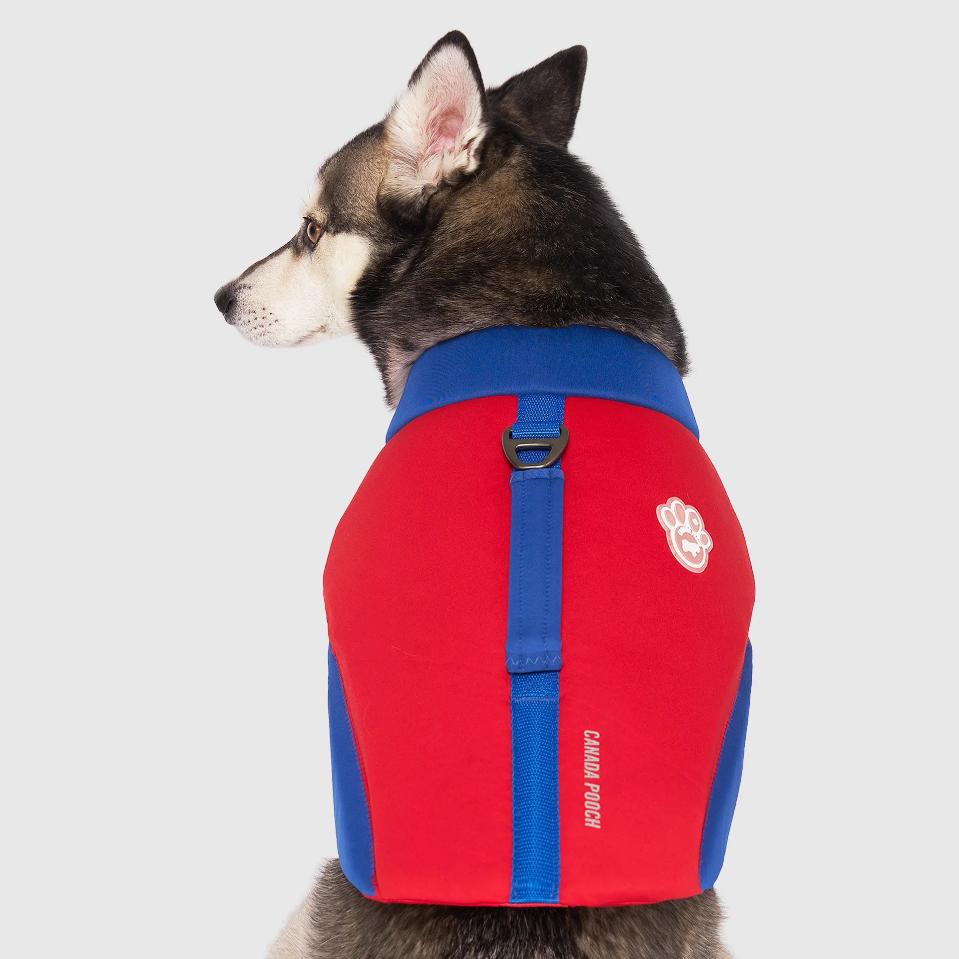 Canada Pooch High Tide Life Jacket - Image 3