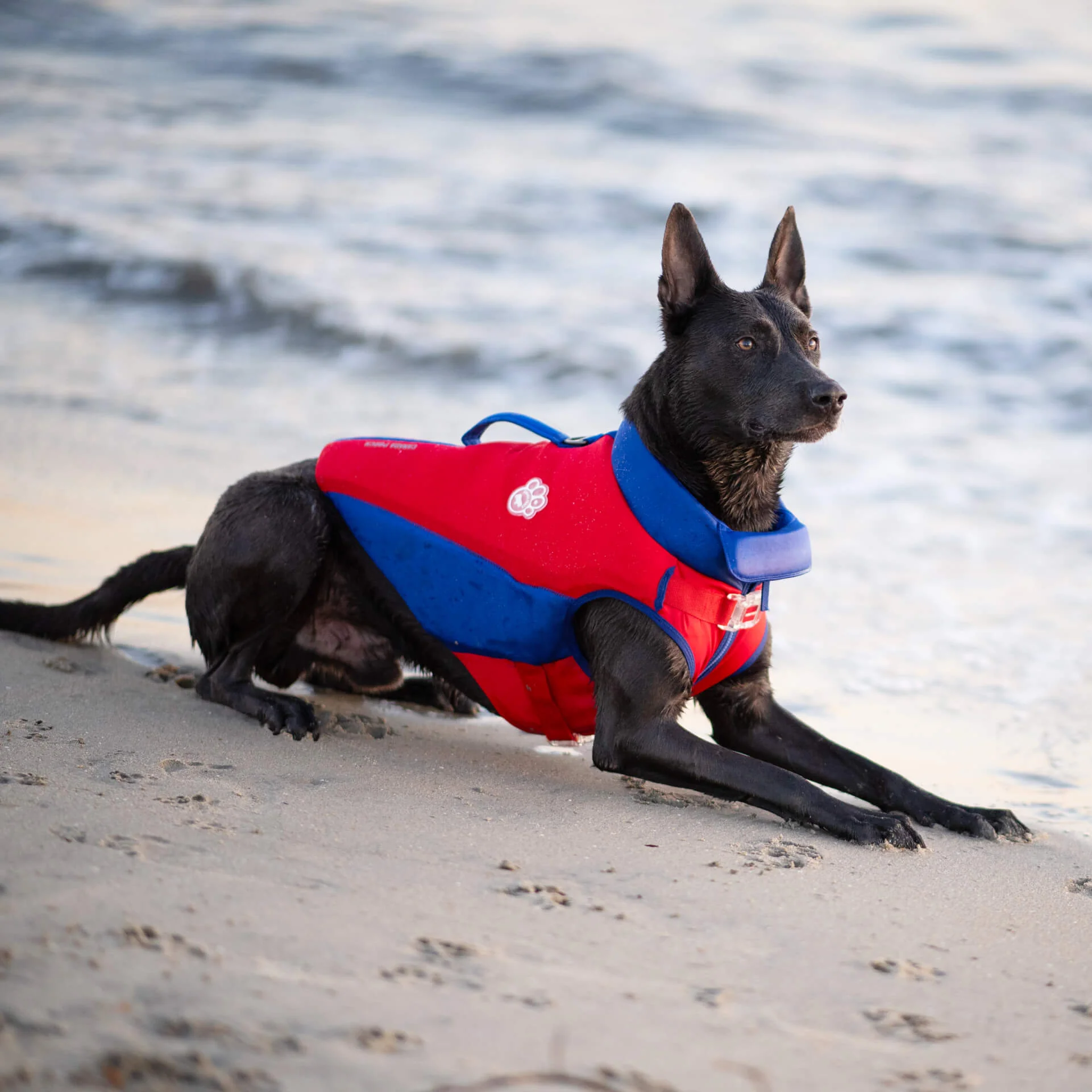 Canada Pooch High Tide Life Jacket - Image 5