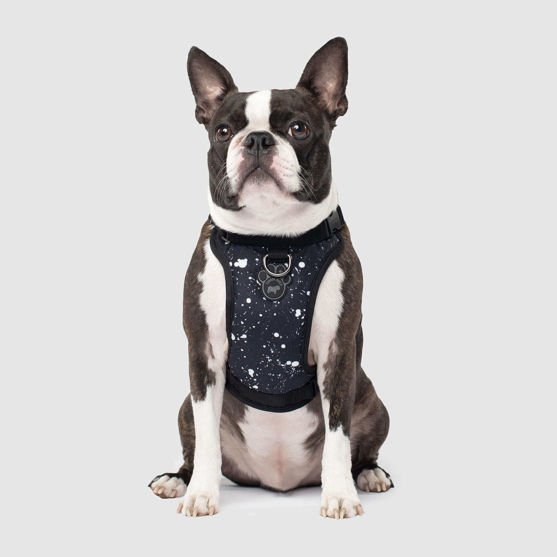 Canada Pooch The Everything Harness Water-Resistant Series