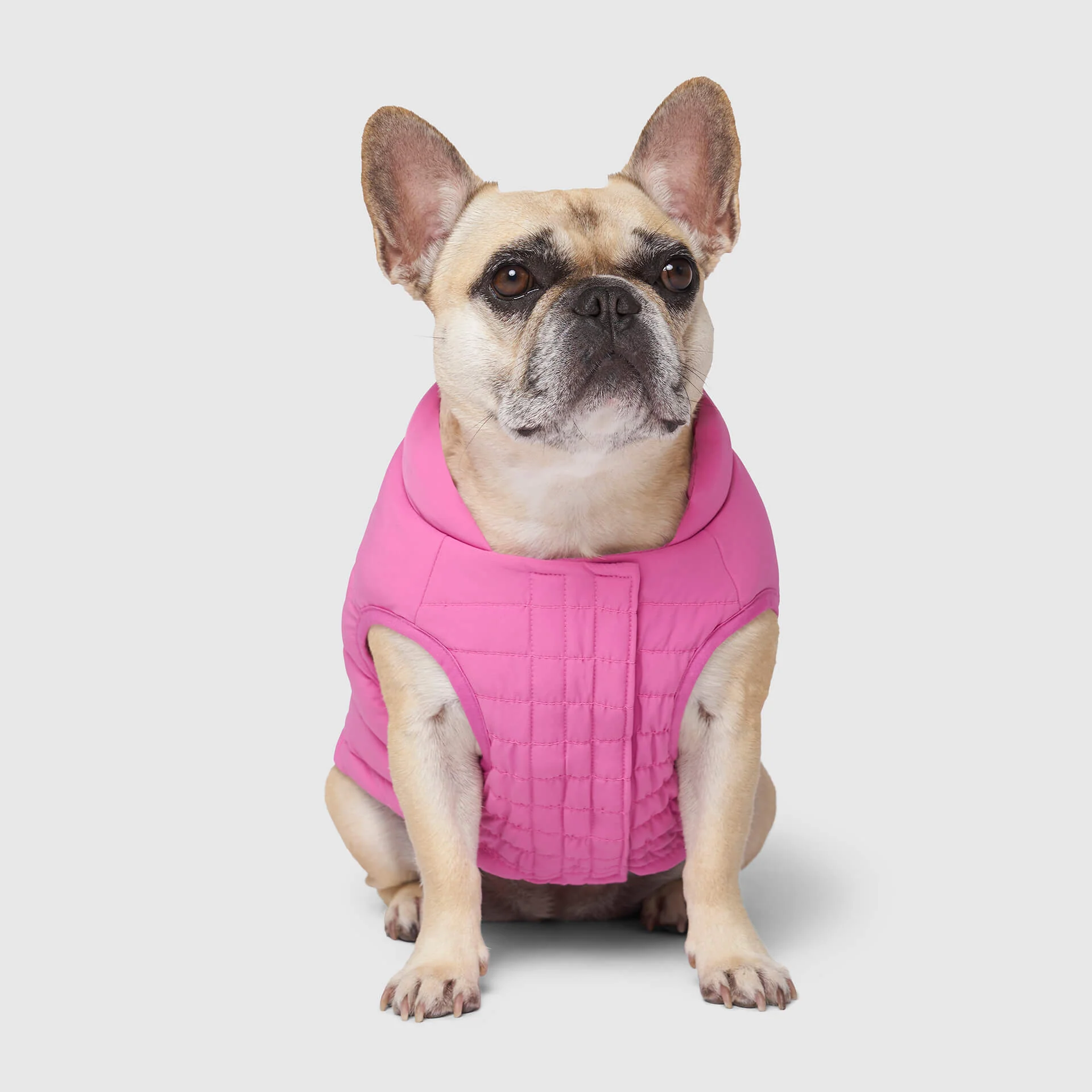 Canada Pooch Ultimate Stretch Vest - Image 7