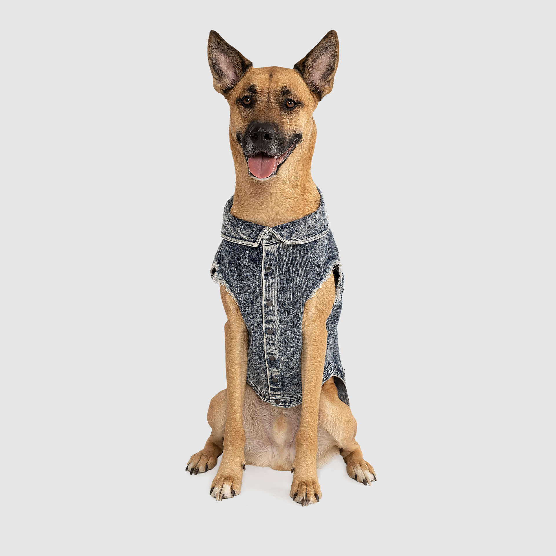 Canada Pooch Downtown Denim Vest - Image 2