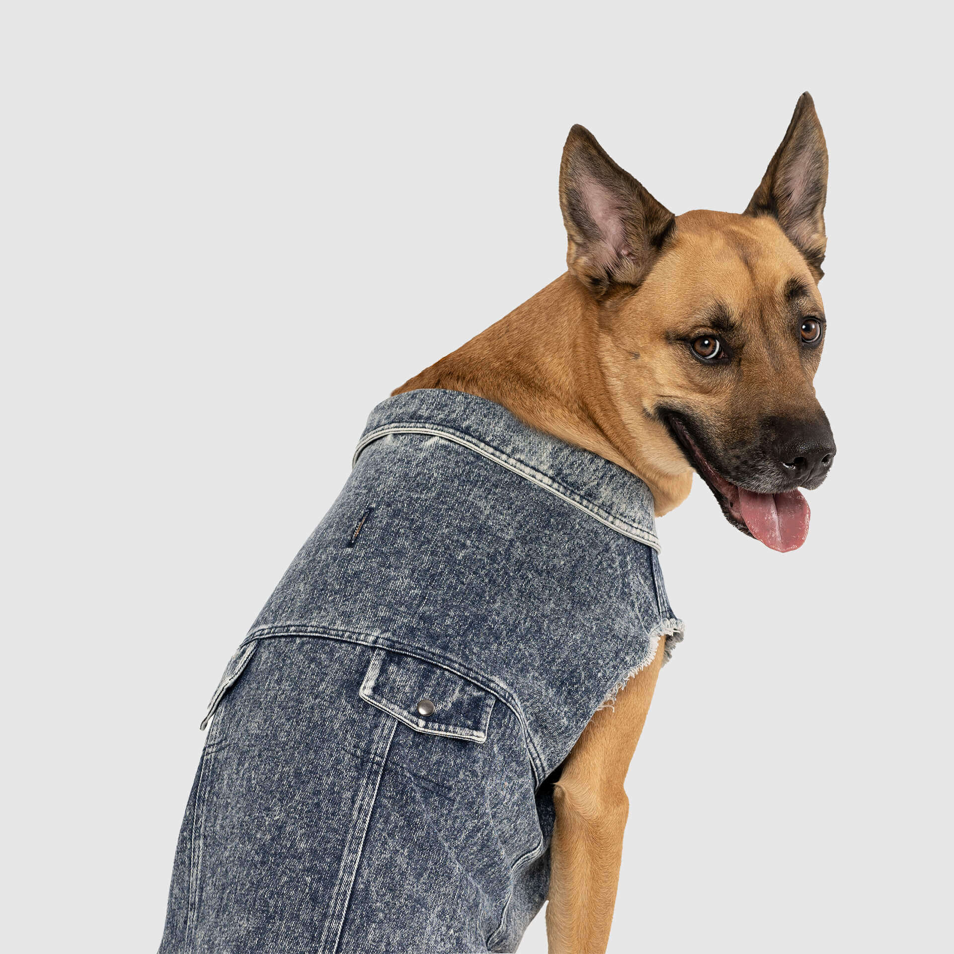 Canada Pooch Downtown Denim Vest - Image 3