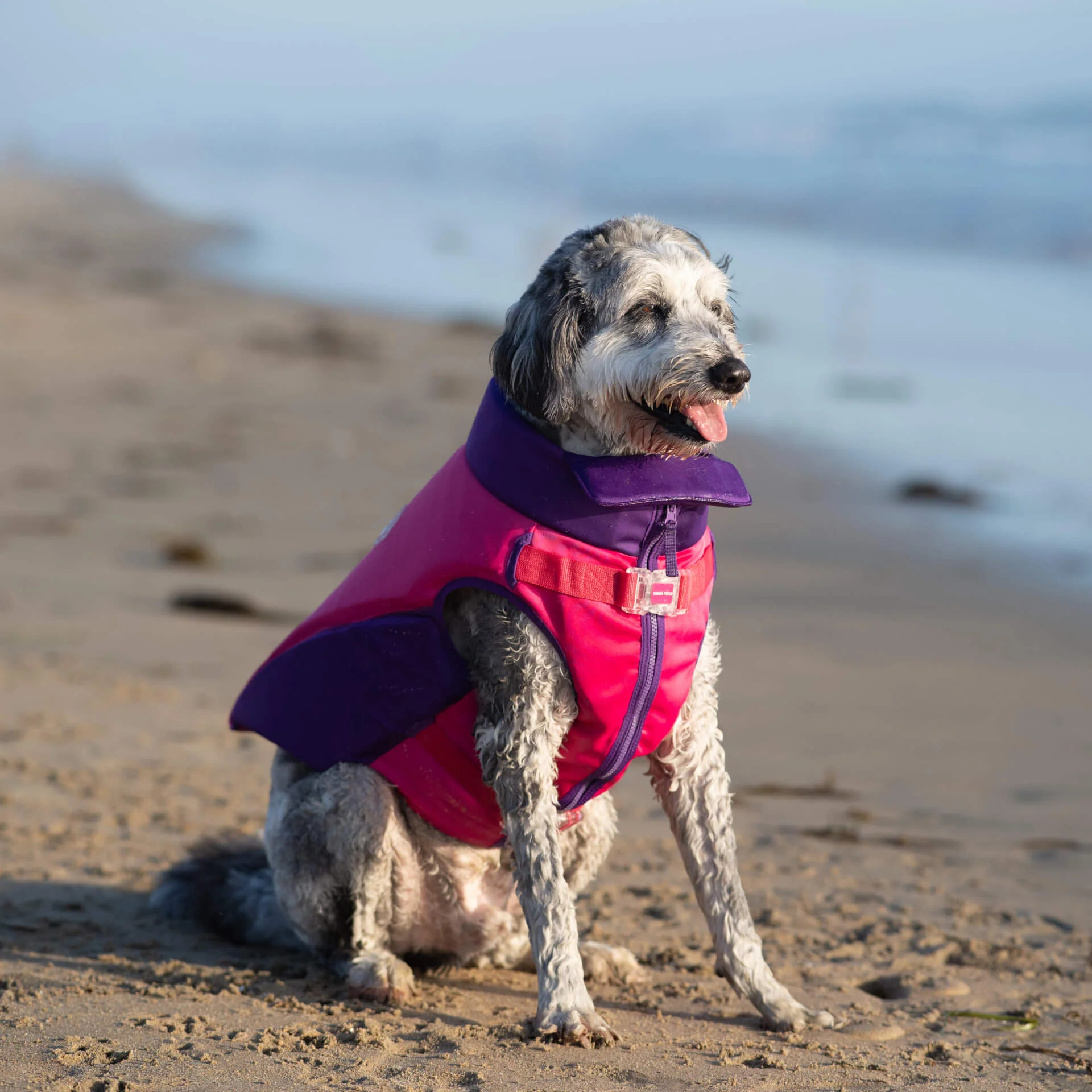 Canada Pooch High Tide Life Jacket - Image 10